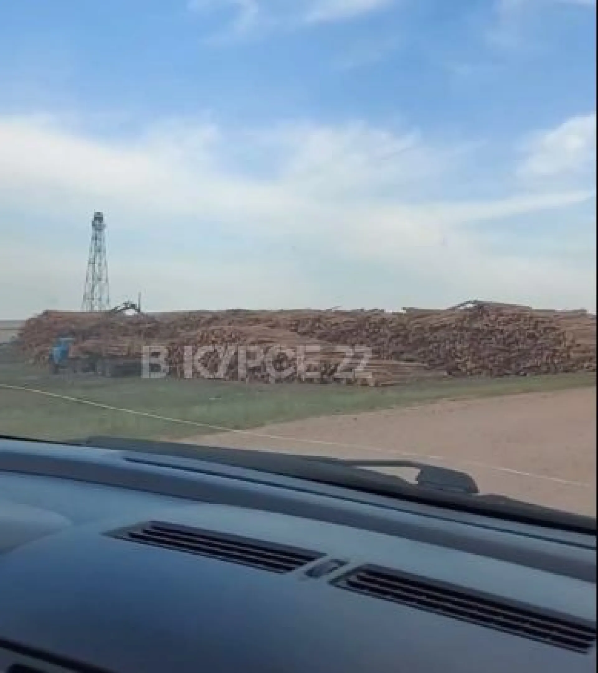 Жители Алтайского края обеспокоены массовой вырубкой леса