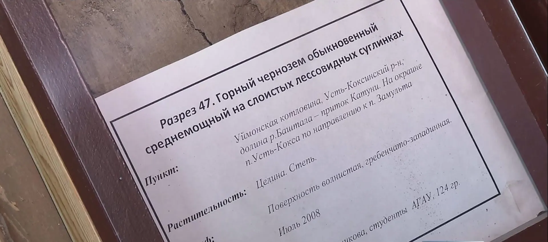 Учёные Алтайского аграрного университета работают над созданием «Красной книги почв Алтайского края»