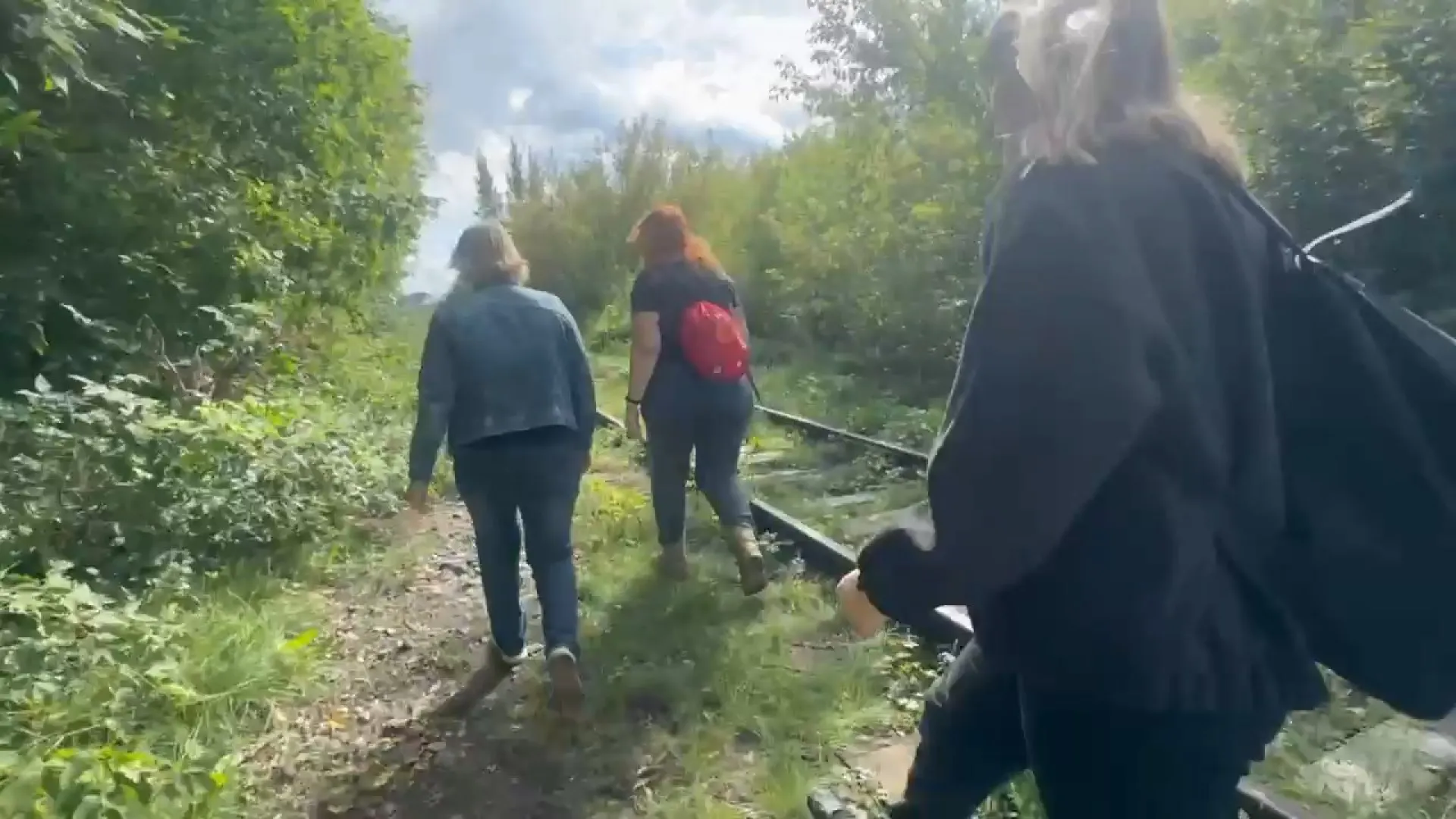 В поисковом отряде «Лиза Алерт» рассказали, как искали пропавшую 12-летнюю девочку в Барнауле В поисковом отряде «Лиза Алерт» рассказали, как искали пропавшую 12-летнюю девочку в Барнауле