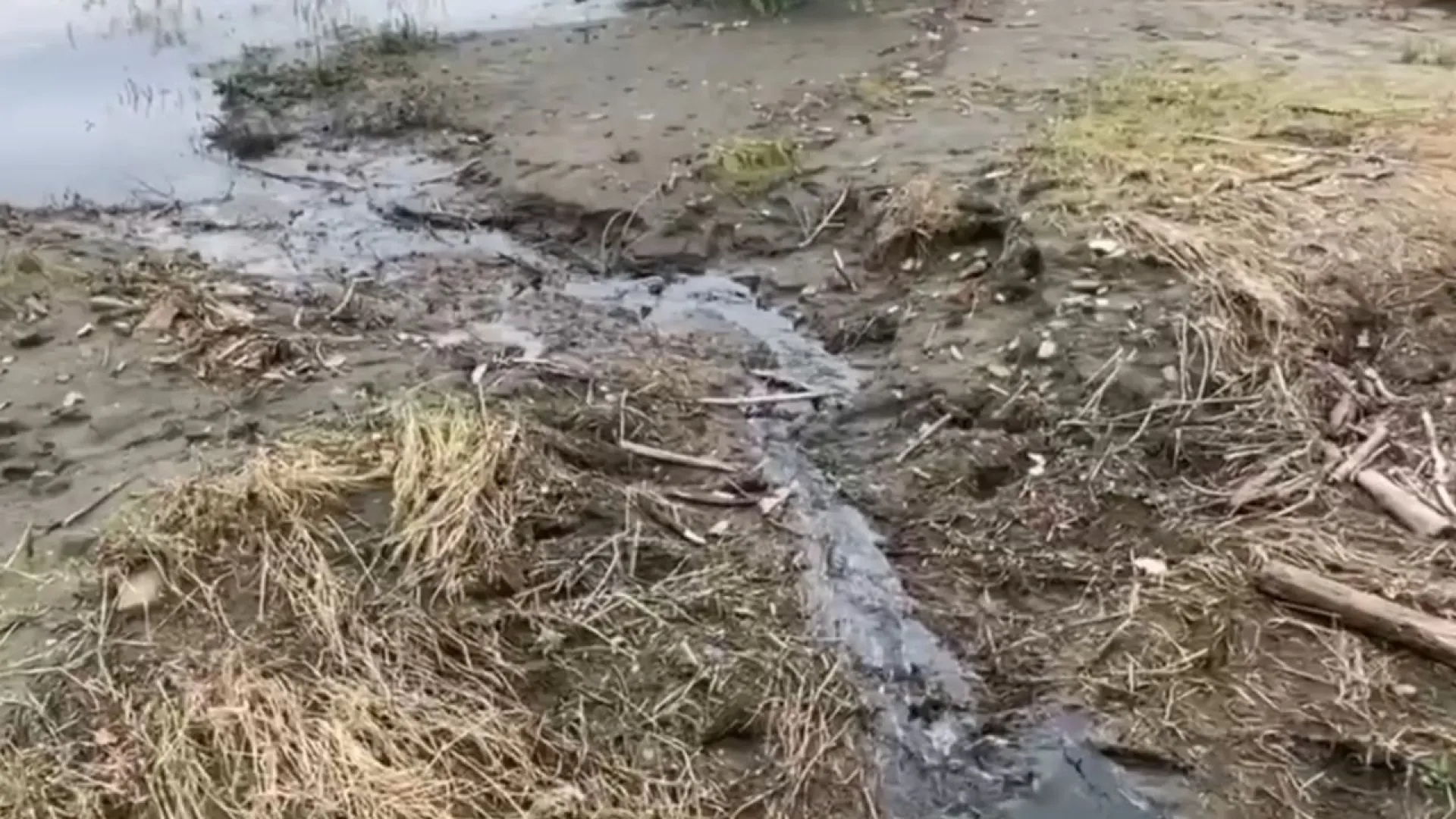 Слив нечистот в Обь пресекли в Барнауле