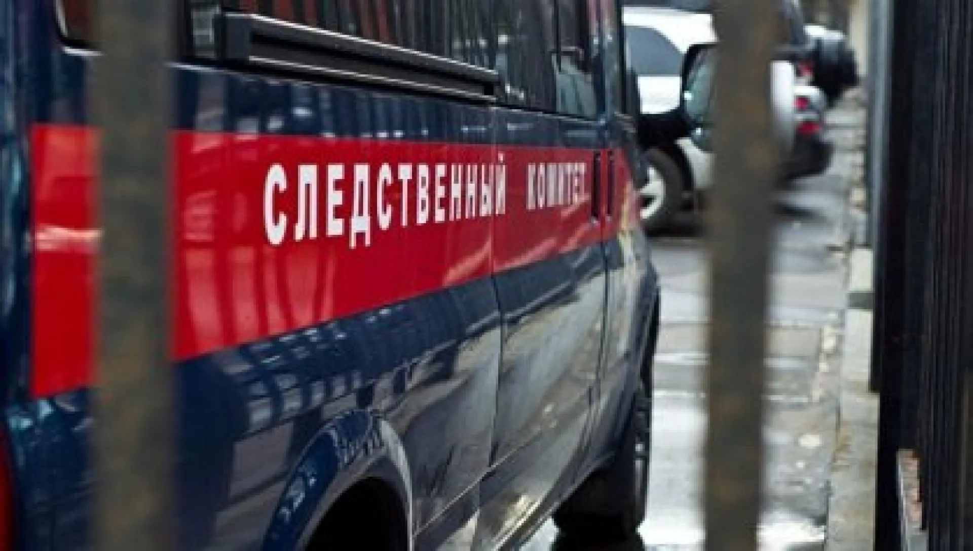 Следственный комитет начал проверку по факту нападения бездомной собаки на ребёнка в Барнауле