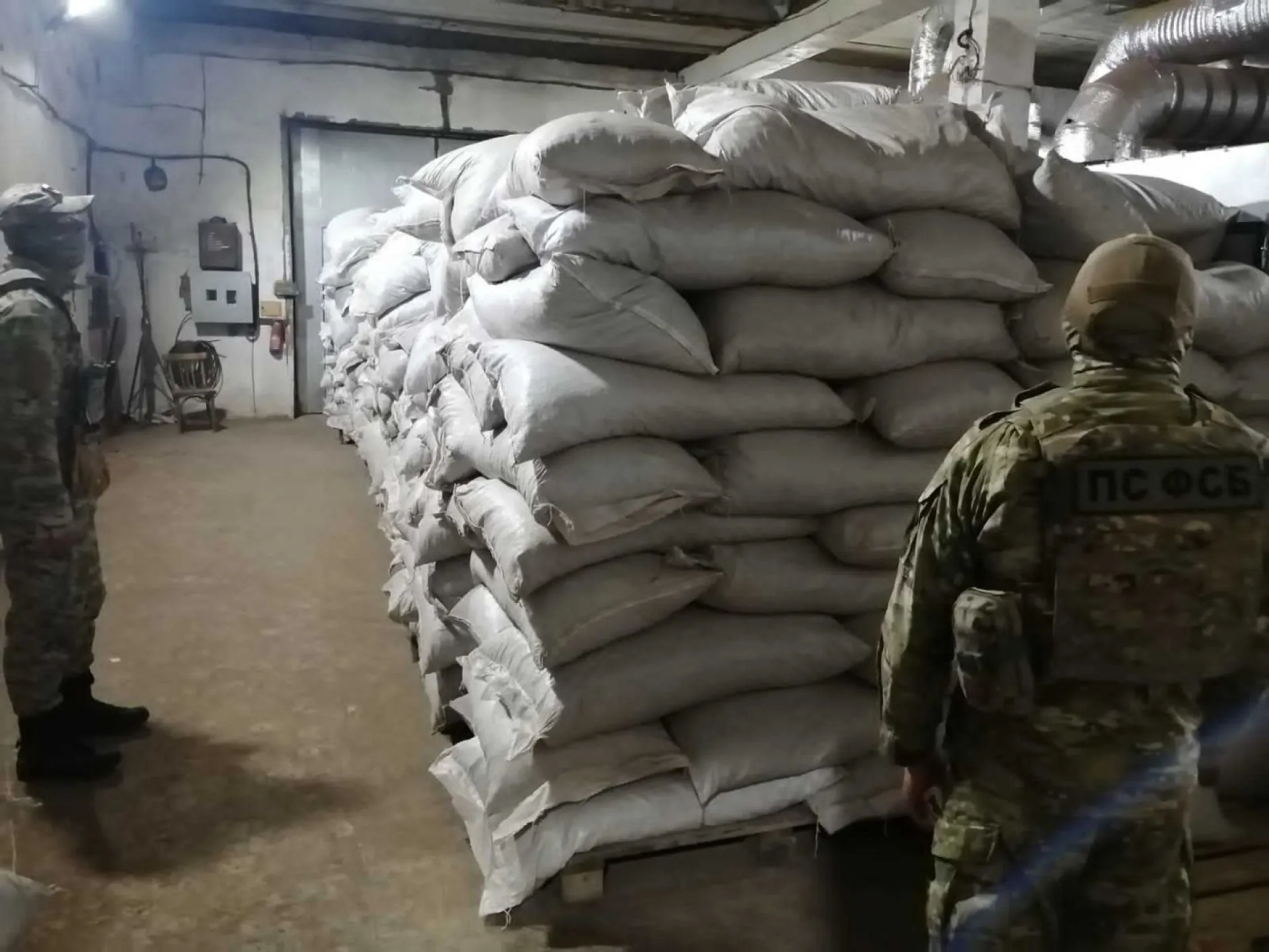 Бийчанин заготовил 8 тонн краснокнижного растения