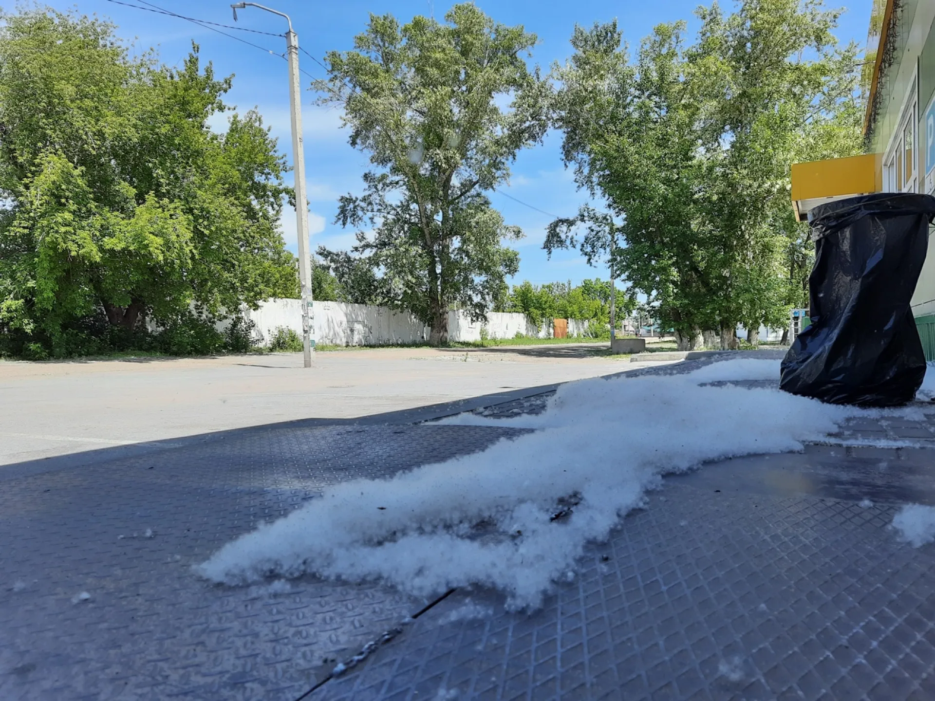 Барнаульцам напомнили о пожароопасности тополиного пуха