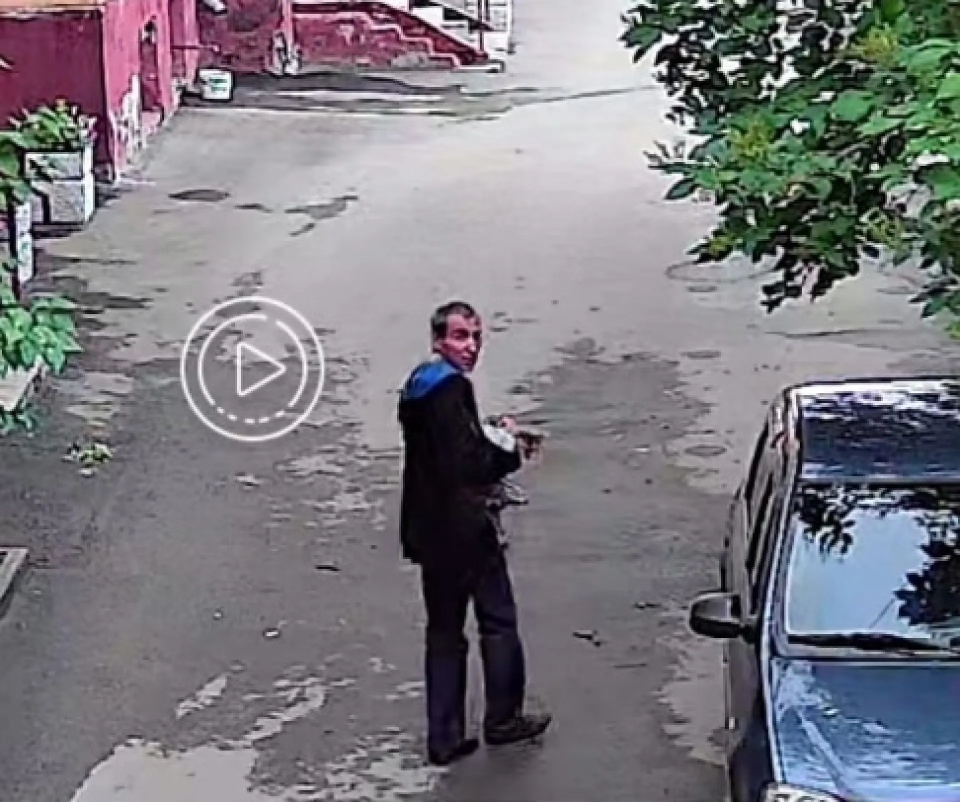 Неизвестный забрал себе чужую бенгальскую кошку в Барнауле