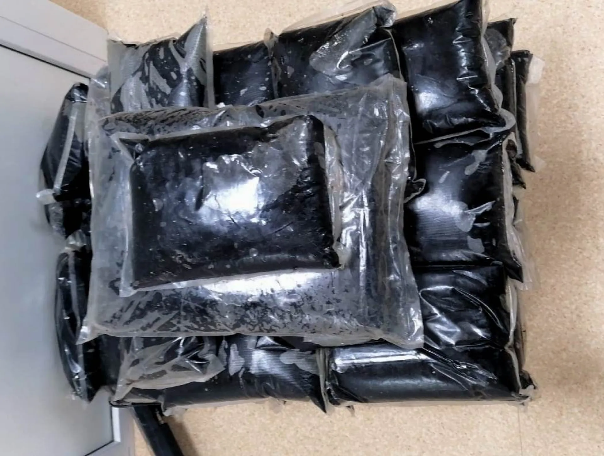 Почти 200 кг контрабандного мумие задержали алтайские таможенники Почти 200 кг контрабандного мумие задержали алтайские таможенники