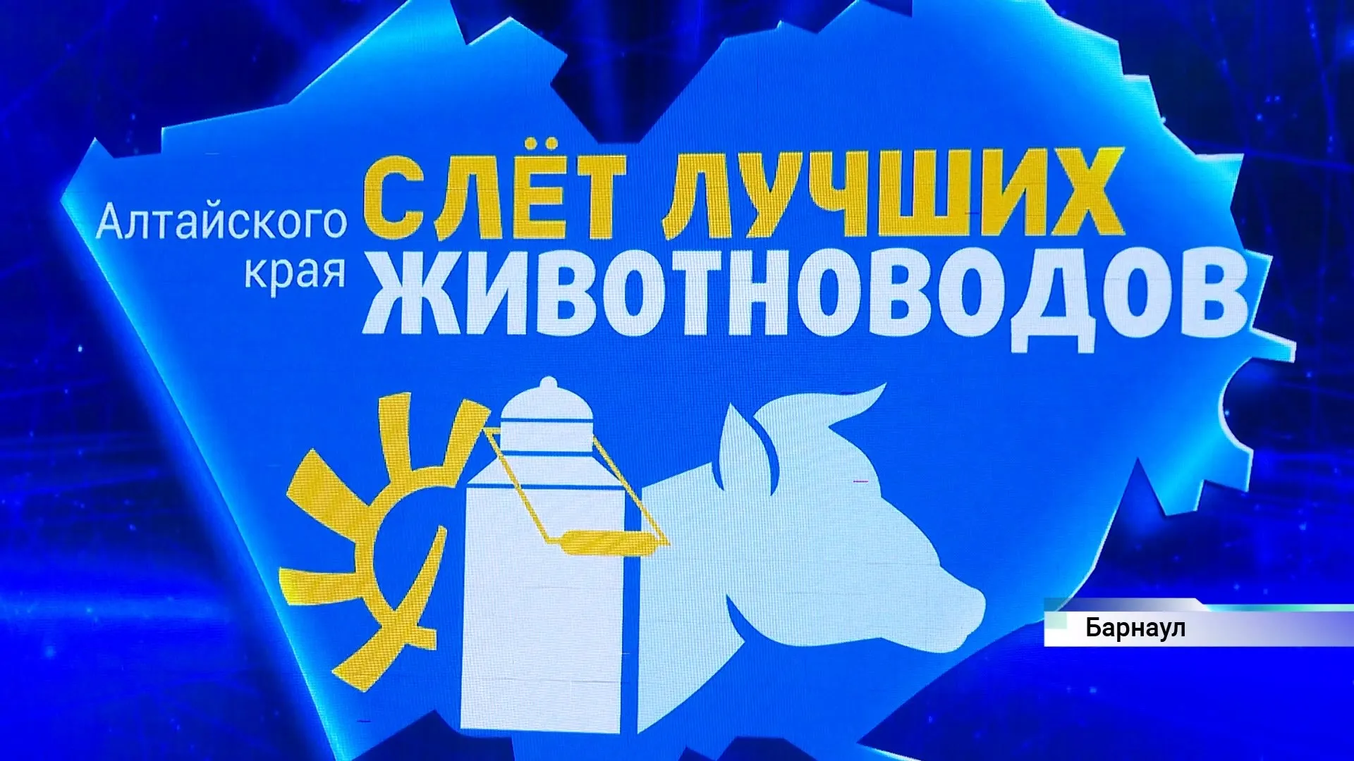 Три сотни специалистов со всего региона собрались на слете лучших животноводов Алтайского края