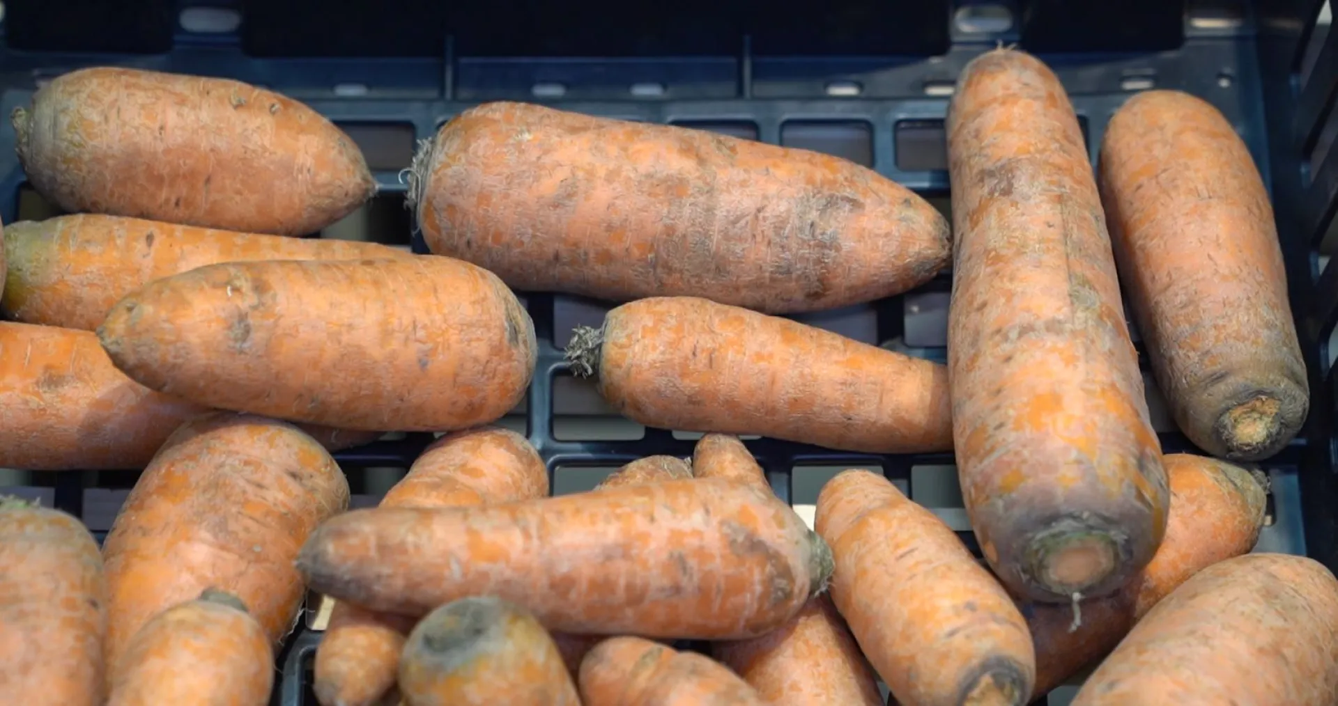 Более трех тонн продукции сети «Светофор» забраковали во время проверок в Алтайском крае