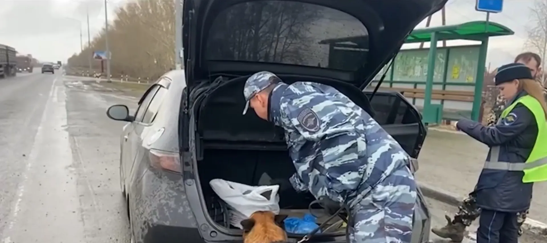 В Барнауле сотрудники Госавтоинспекции пресекли попытку сбыта наркотических средств в крупном размере