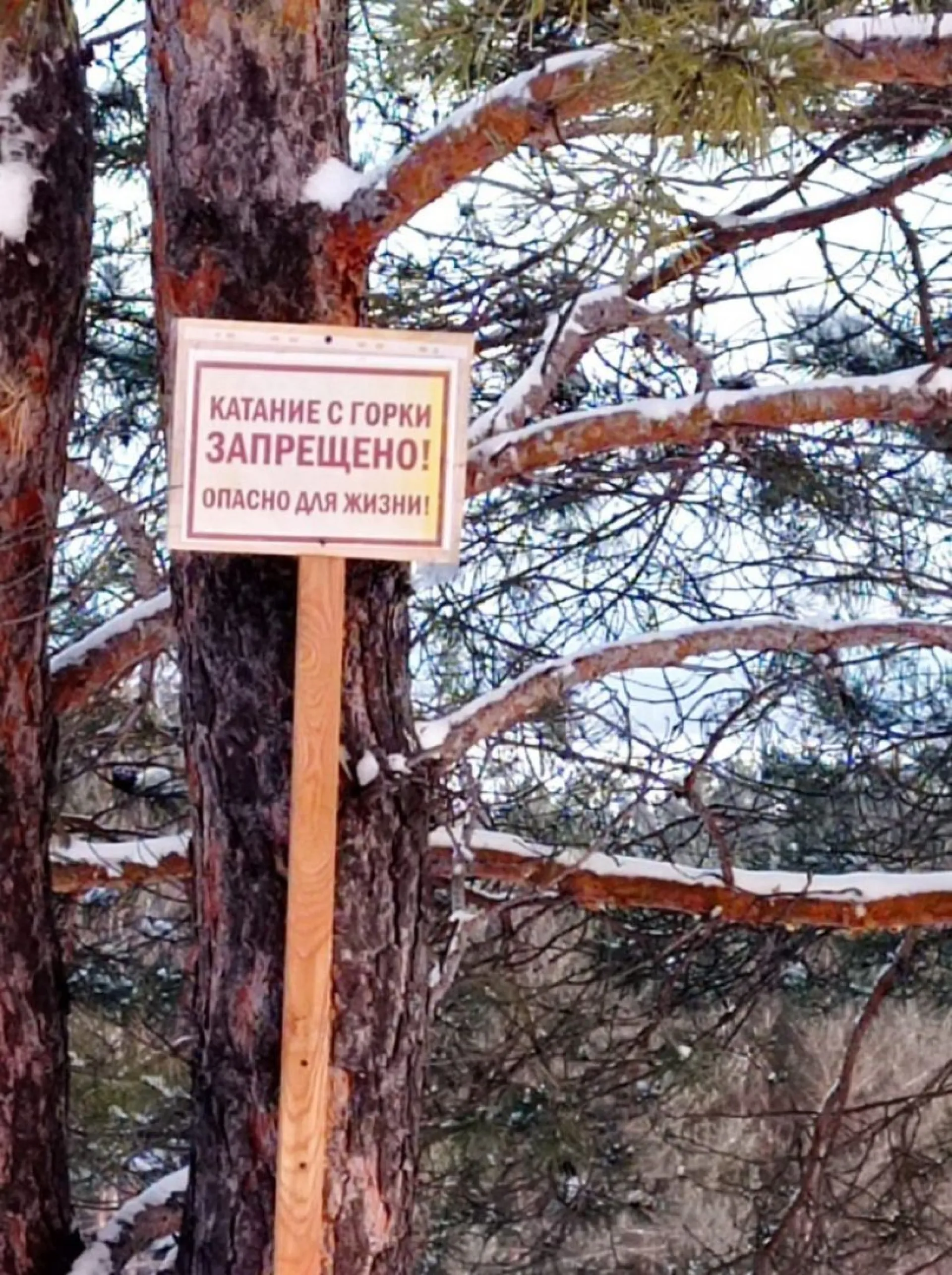 В Бийске установят аншлаги, сообщающие о запрете катания с горок В Бийске установят аншлаги, сообщающие о запрете катания с горок