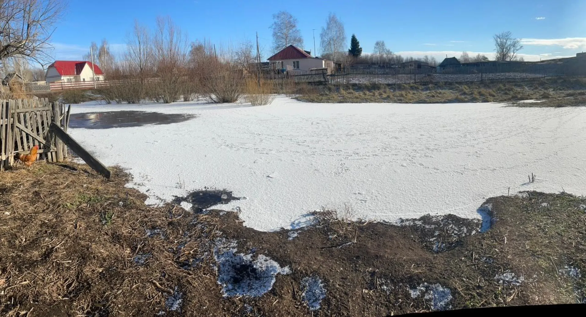 Двухлетняя девочка захлебнулась в луже в Алтайском крае Двухлетняя девочка захлебнулась в луже в Алтайском крае