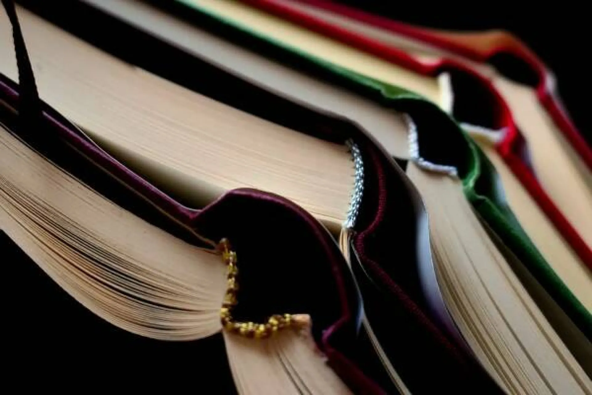 В первый класс не пойдут. Лицей-интернат Бийска отменил набор детей