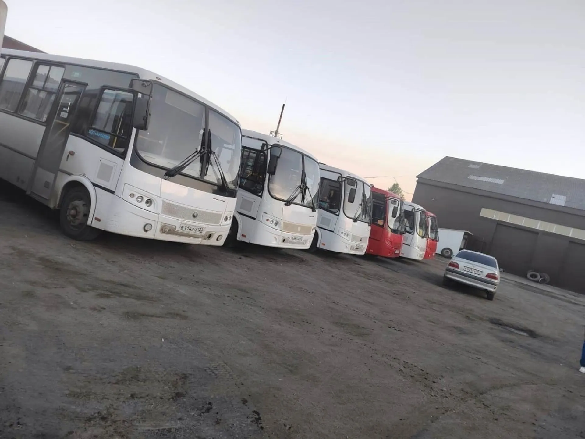 Четыре новых автобуса будут обслуживать пассажиров в Бийске Четыре новых автобуса будут обслуживать пассажиров в Бийске