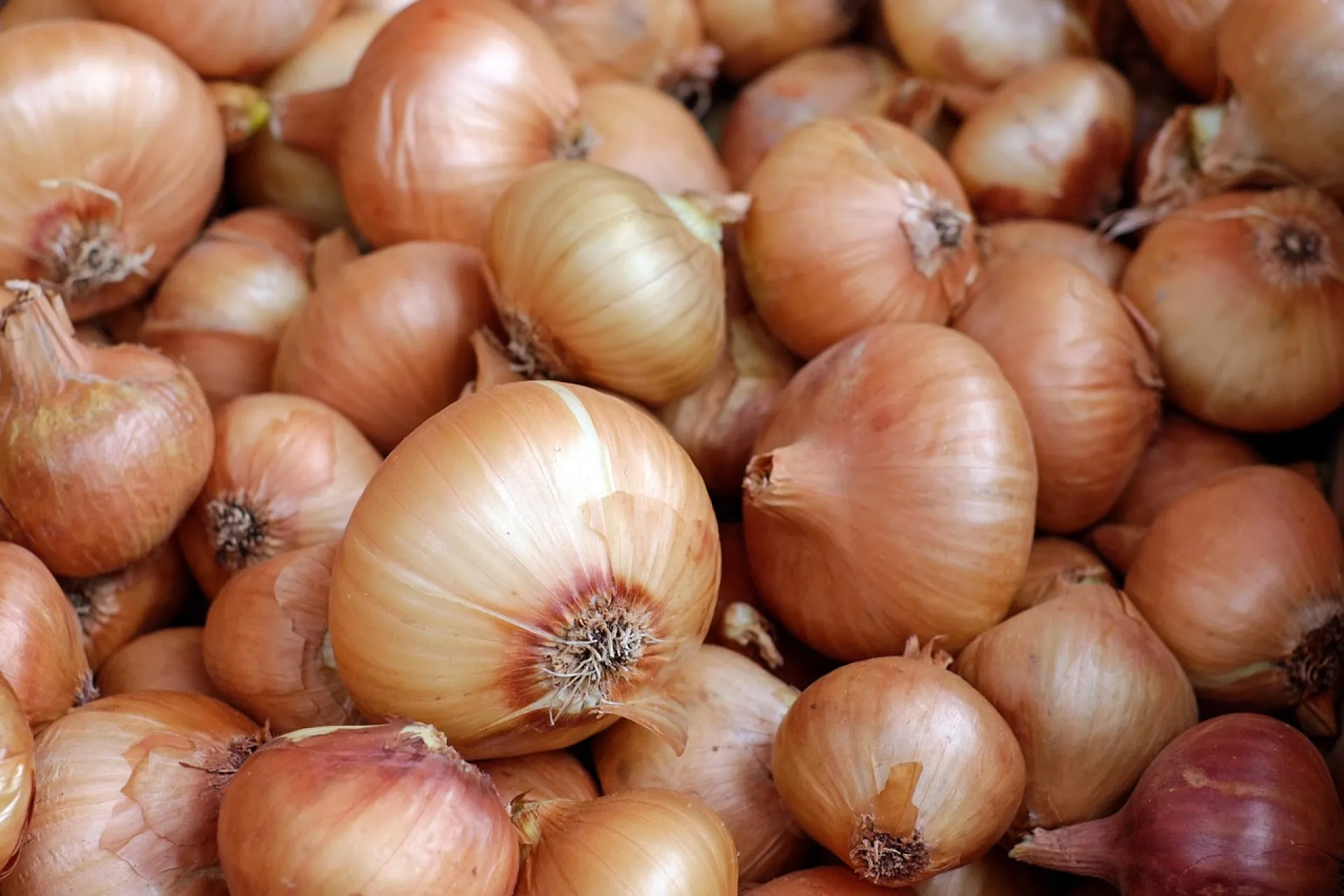 Учёные назвали продукт, который помогает снизить уровень сахара в крови Учёные назвали продукт, который помогает снизить уровень сахара в крови