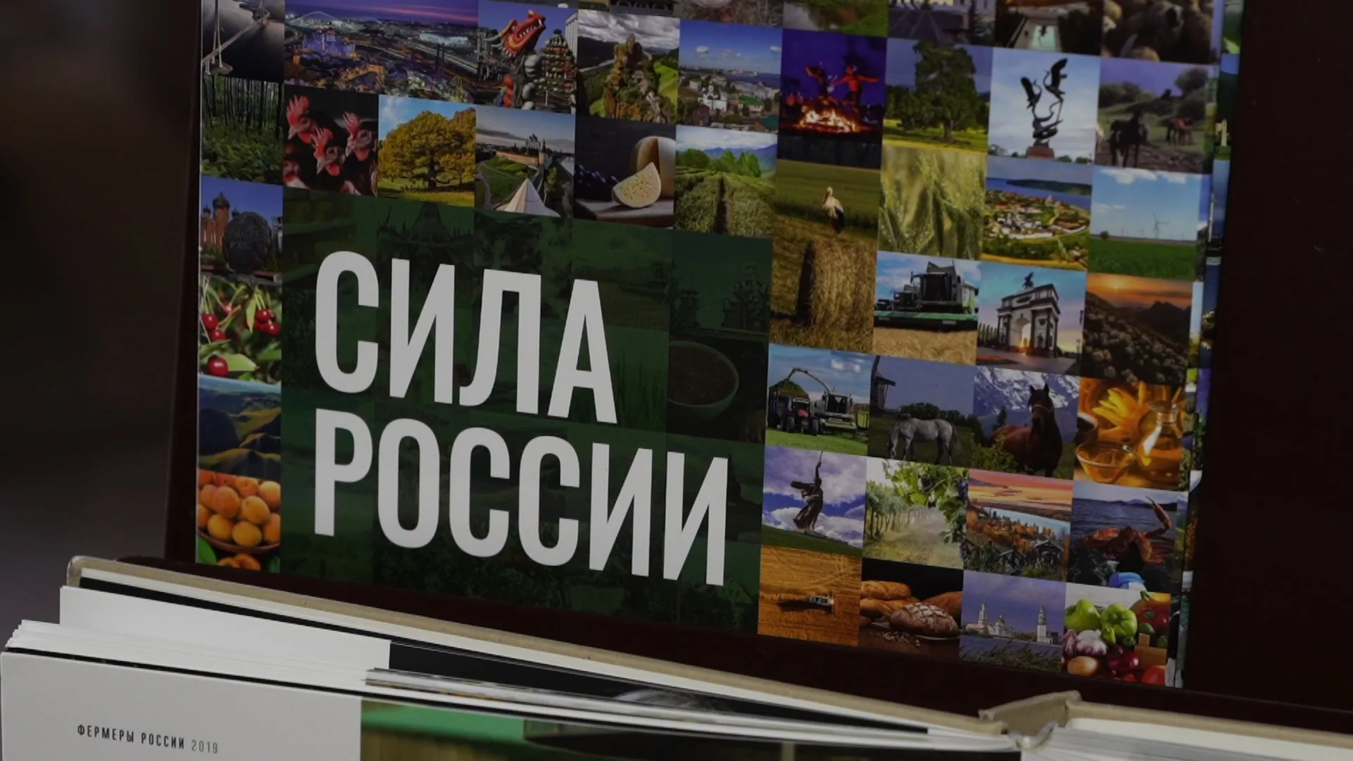 Рекордный год: передовиков сельского хозяйства Алтайского края наградили в Барнауле Рекордный год: передовиков сельского хозяйства Алтайского края наградили в Барнауле