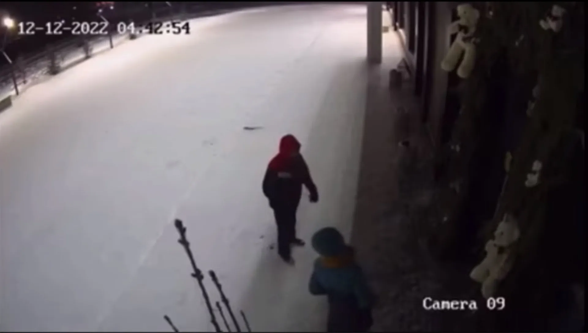 Двое людей украли игрушку медвежонка в Барнауле