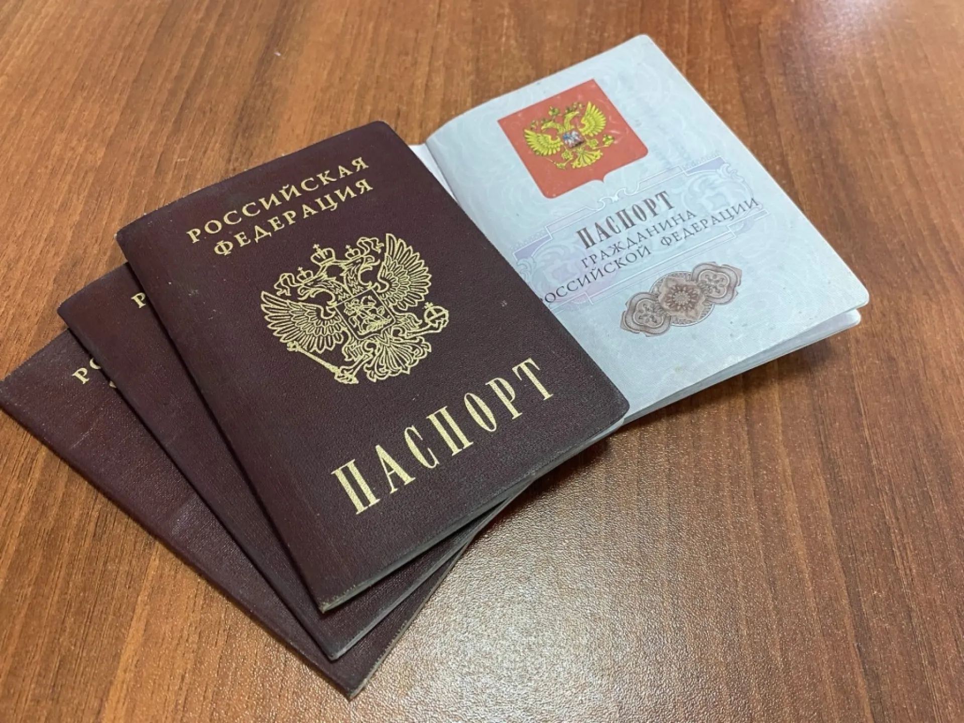 Жители ДНР, ЛНР и Украины смогут получить российское гражданство в упрощённом порядке