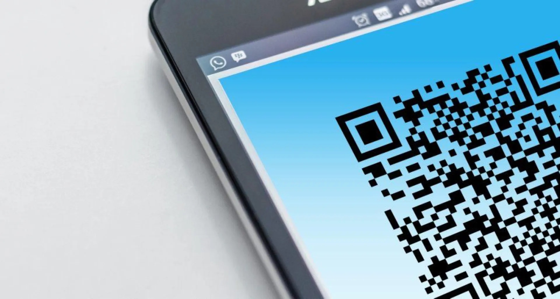 Треть жителей Алтайского края поддерживают введение QR-кодов в регионе