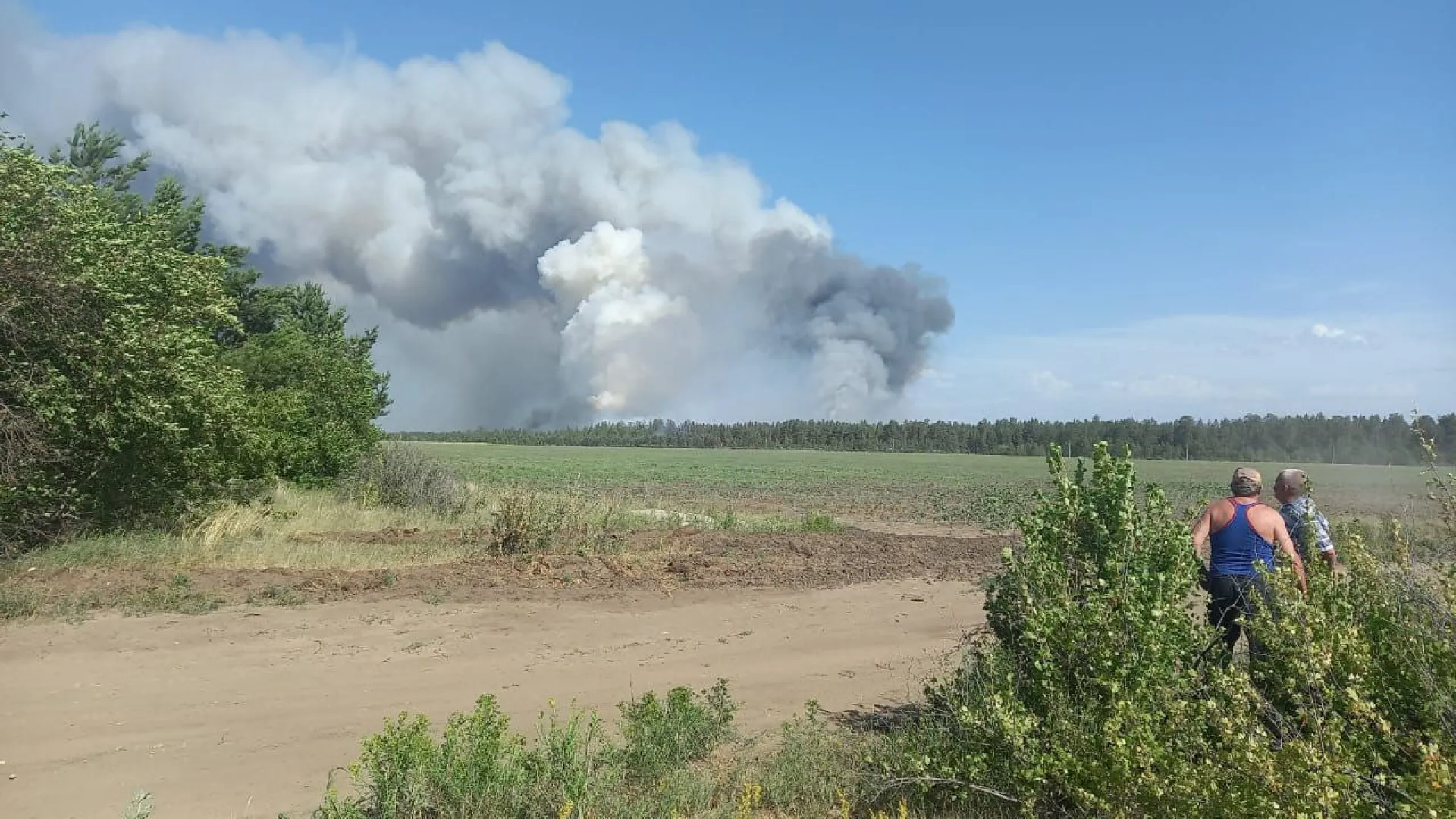 В Михайловском районе пожарные заняты в тушении лесных пожаров