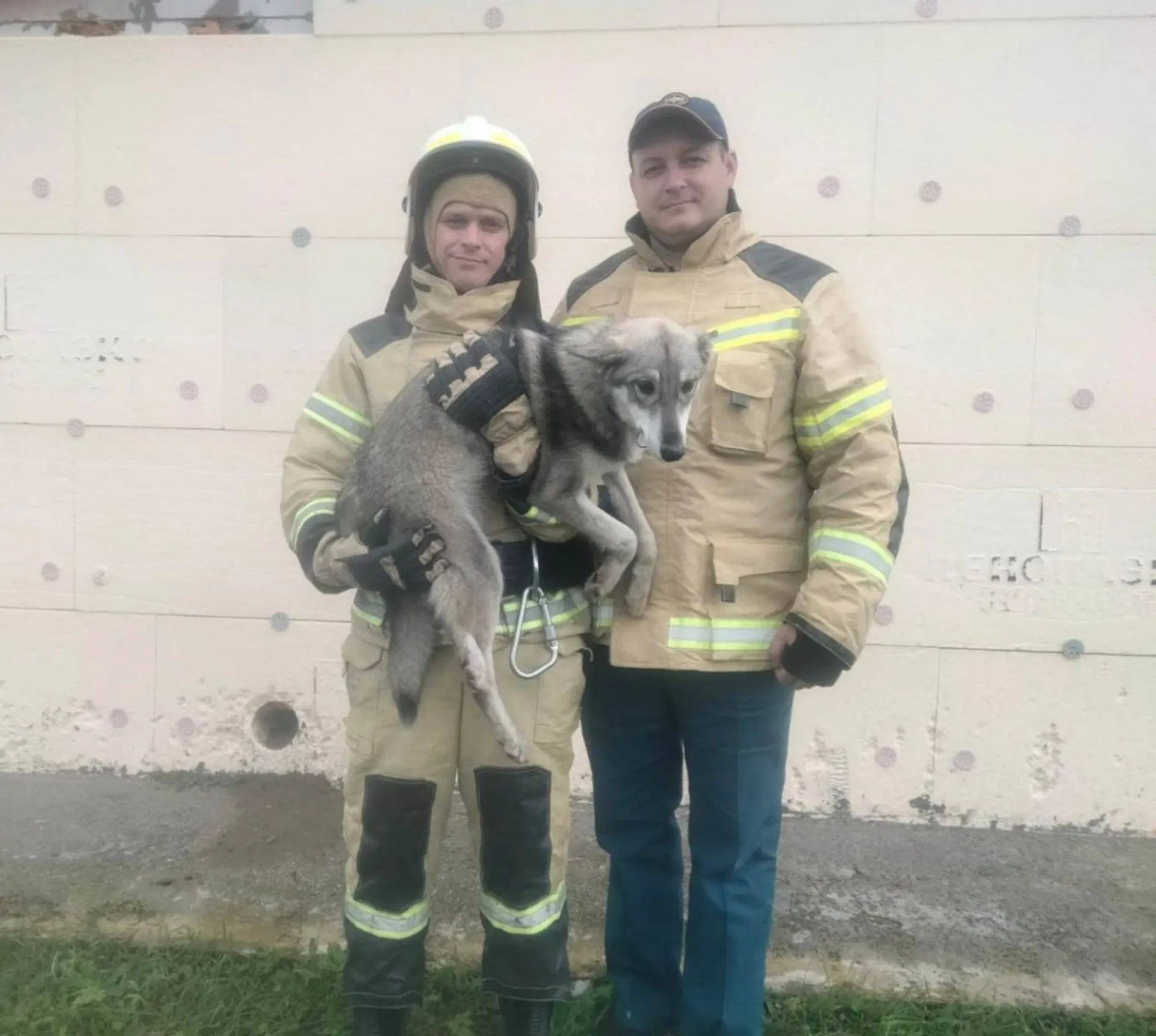 В Алтайском крае сотрудники МЧС спасли щенка