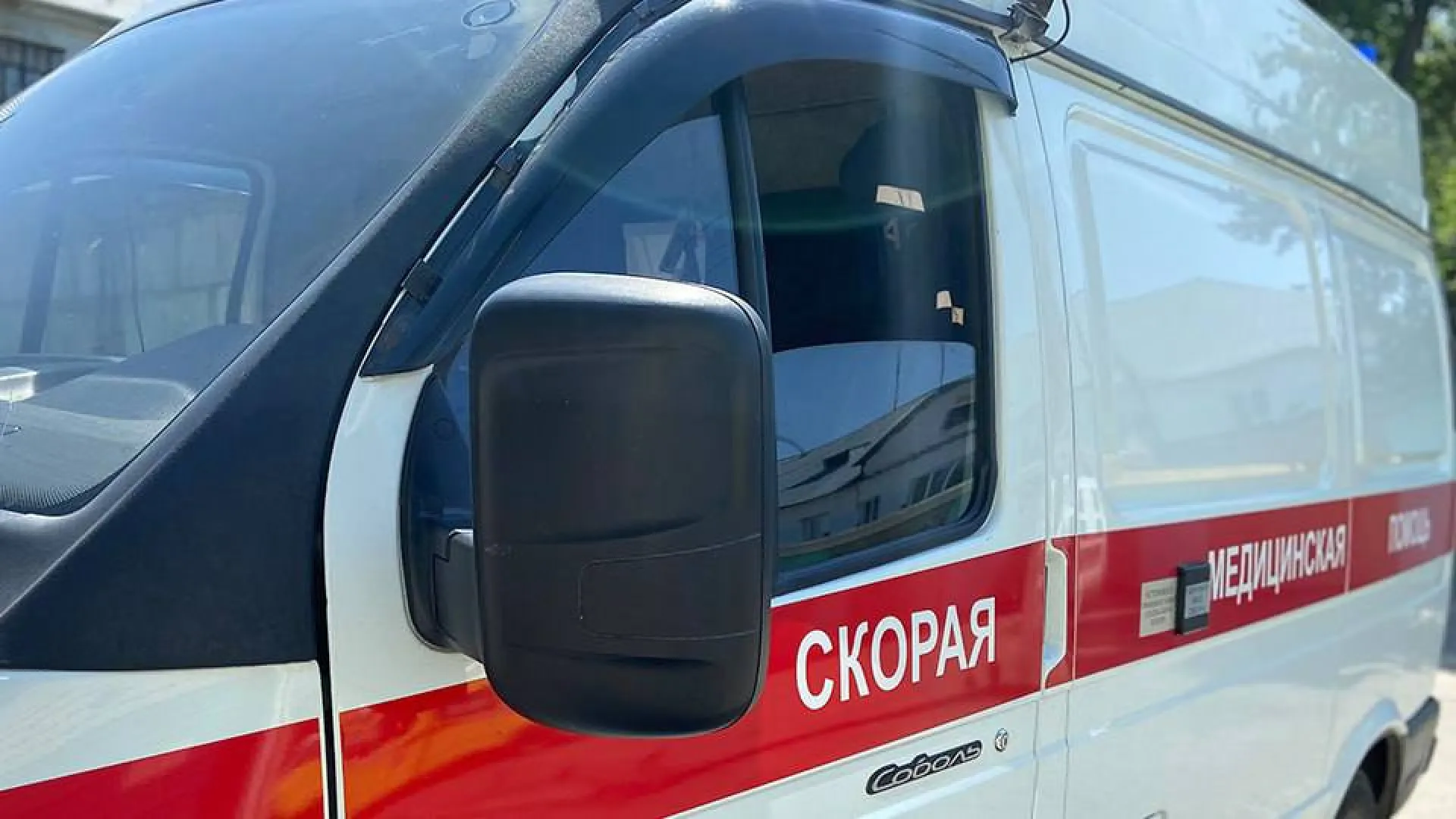 В Бийске алабай набросился на подростка