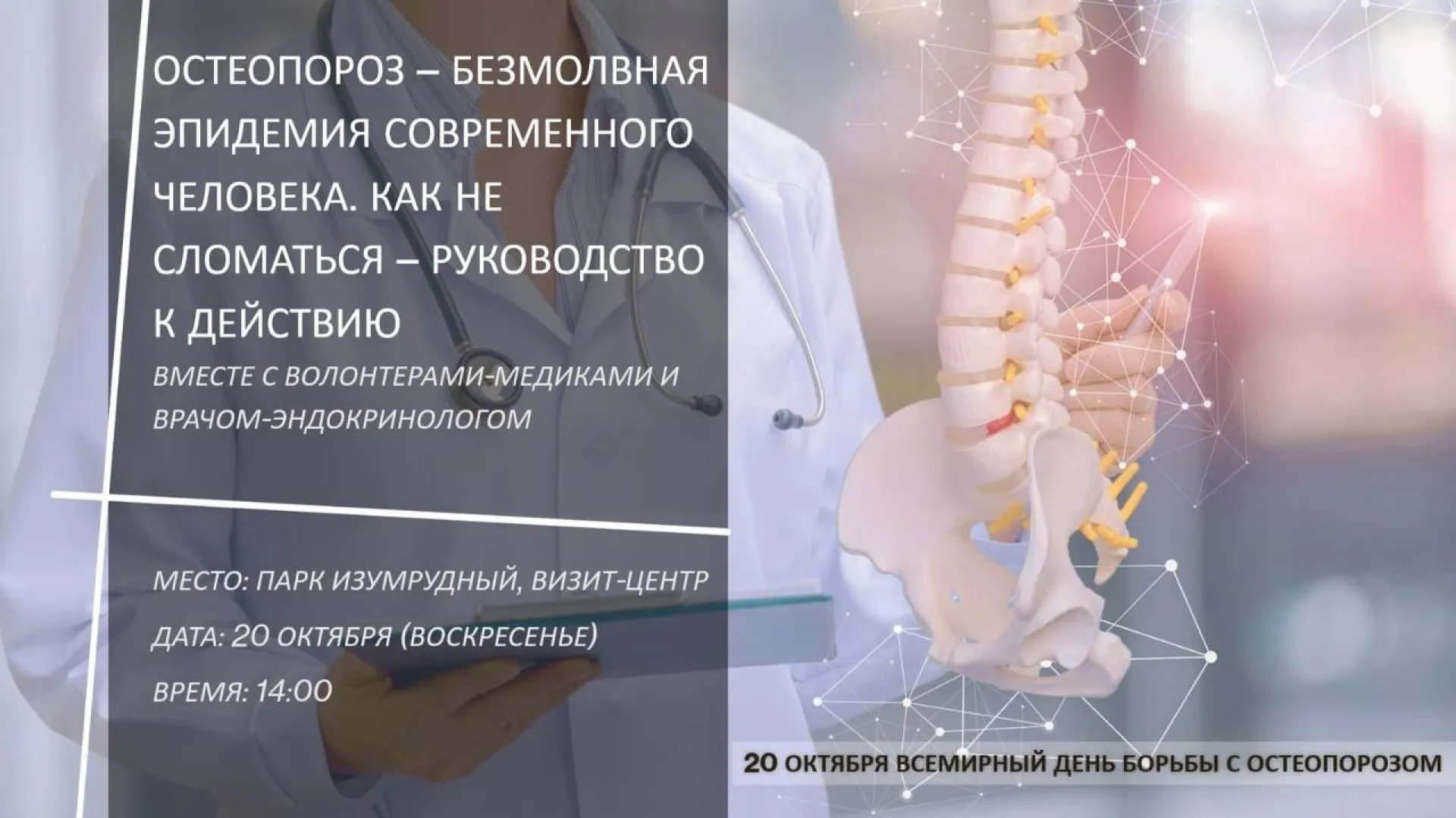 Полезная лекция и зарядка: кандидат медицинских наук проведёт встречу в парке «Изумрудный»