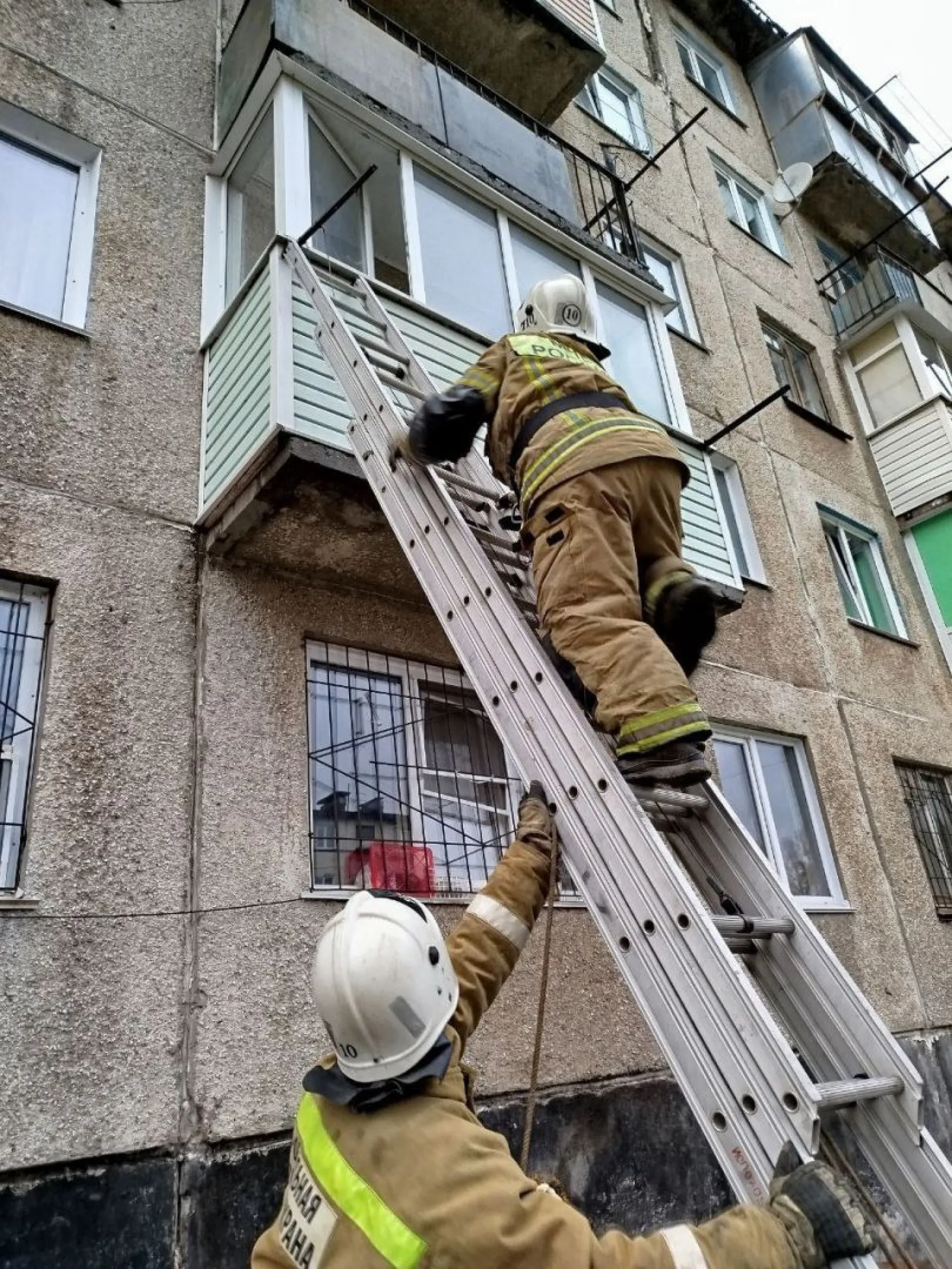 Спасатели помогли двум оказавшимся в беде пенсионеркам в Алтайском крае Спасатели помогли двум оказавшимся в беде пенсионеркам в Алтайском крае