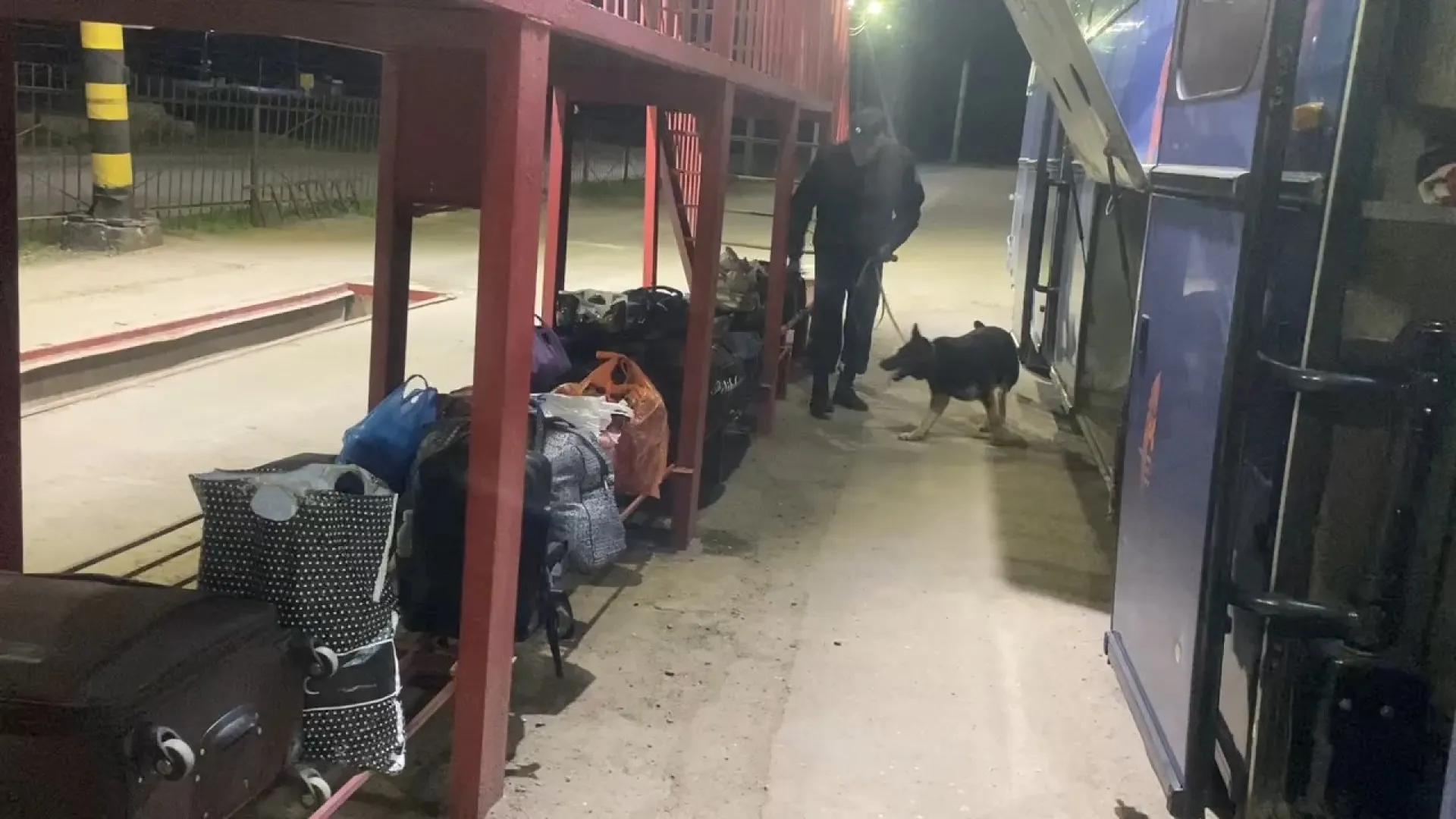 Алтайские пограничники обнаружили крупную партию сигарет, спрятанную в автобусе Алтайские пограничники обнаружили крупную партию сигарет, спрятанную в автобусе