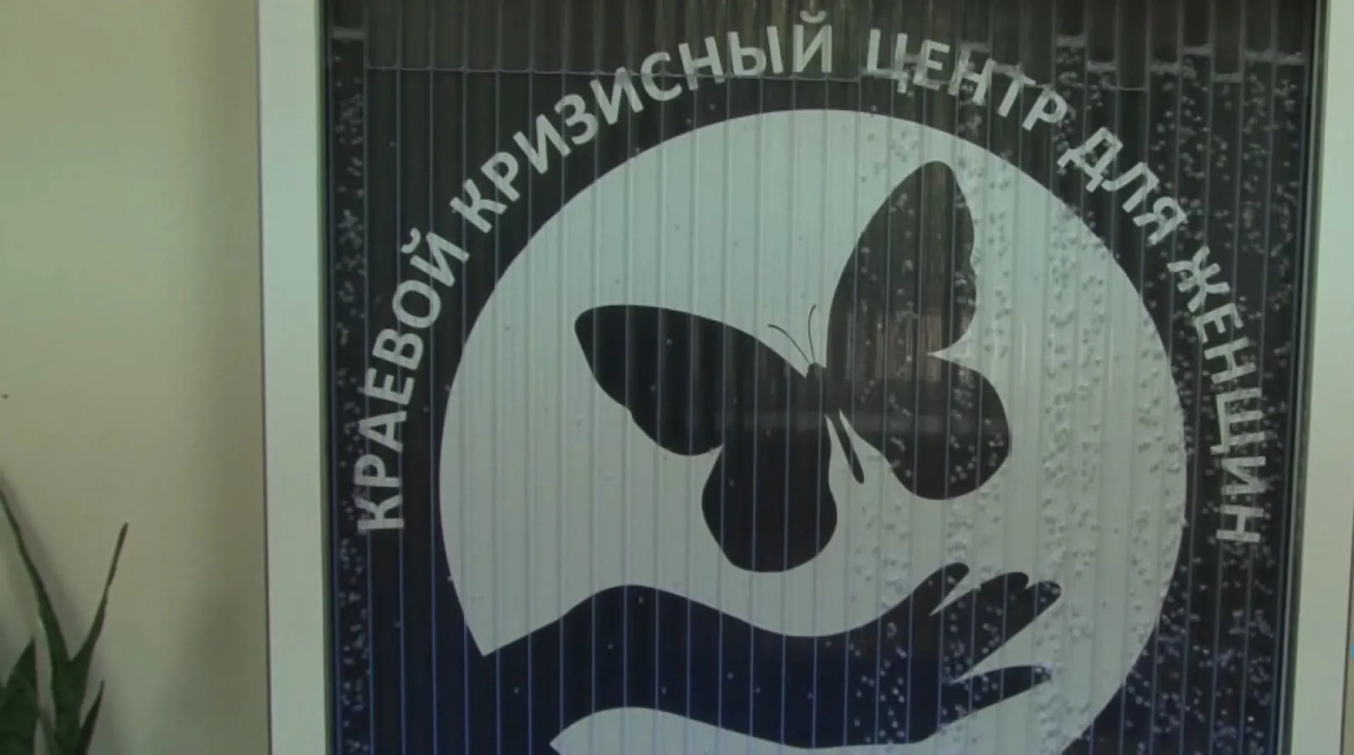 Группа психологической помощи для поддержки родственников мобилизованных работает в кризисном центре для женщин в Барнауле