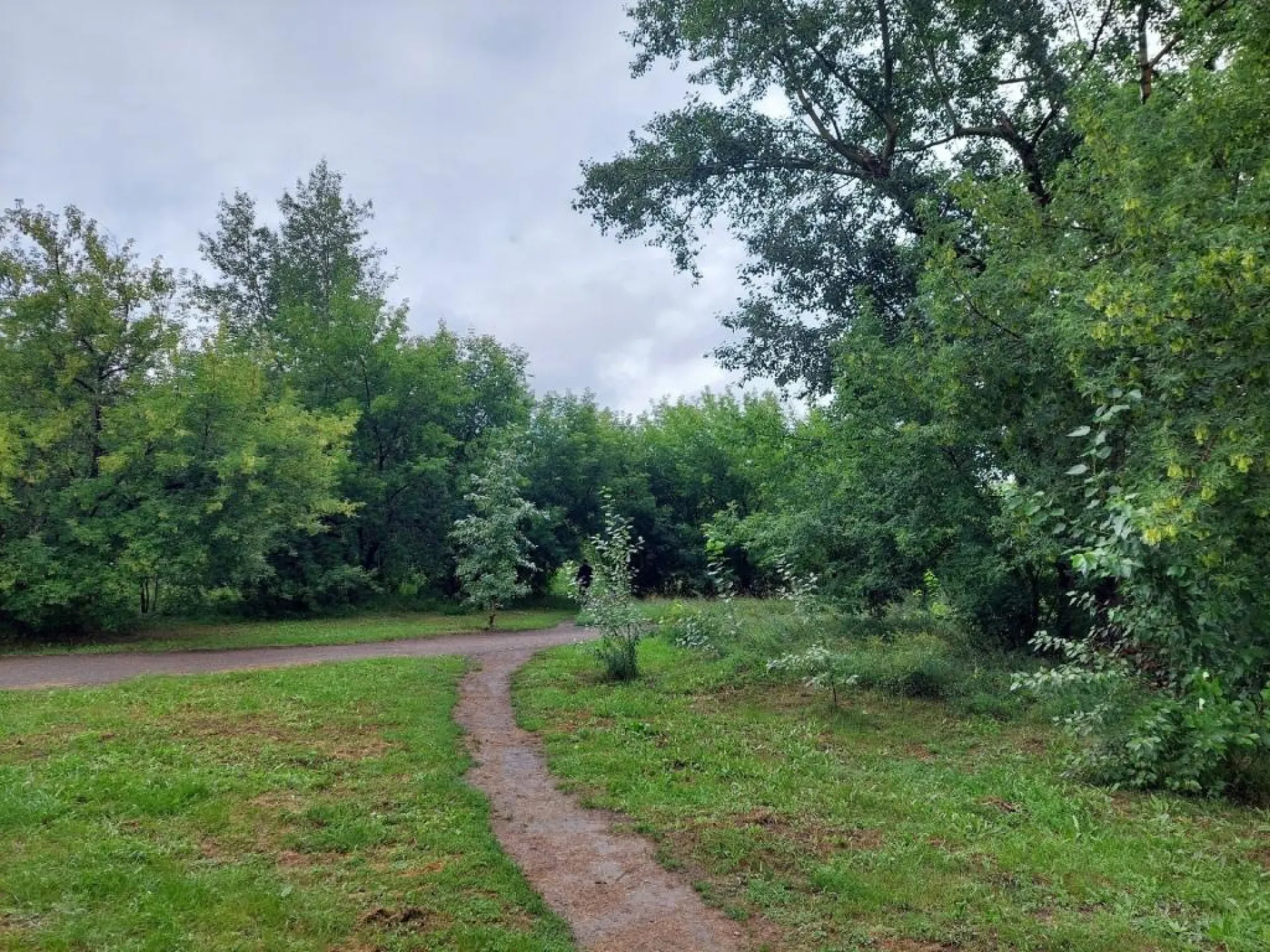 В барнаульском парке имени Ленина начались работы по благоустройству