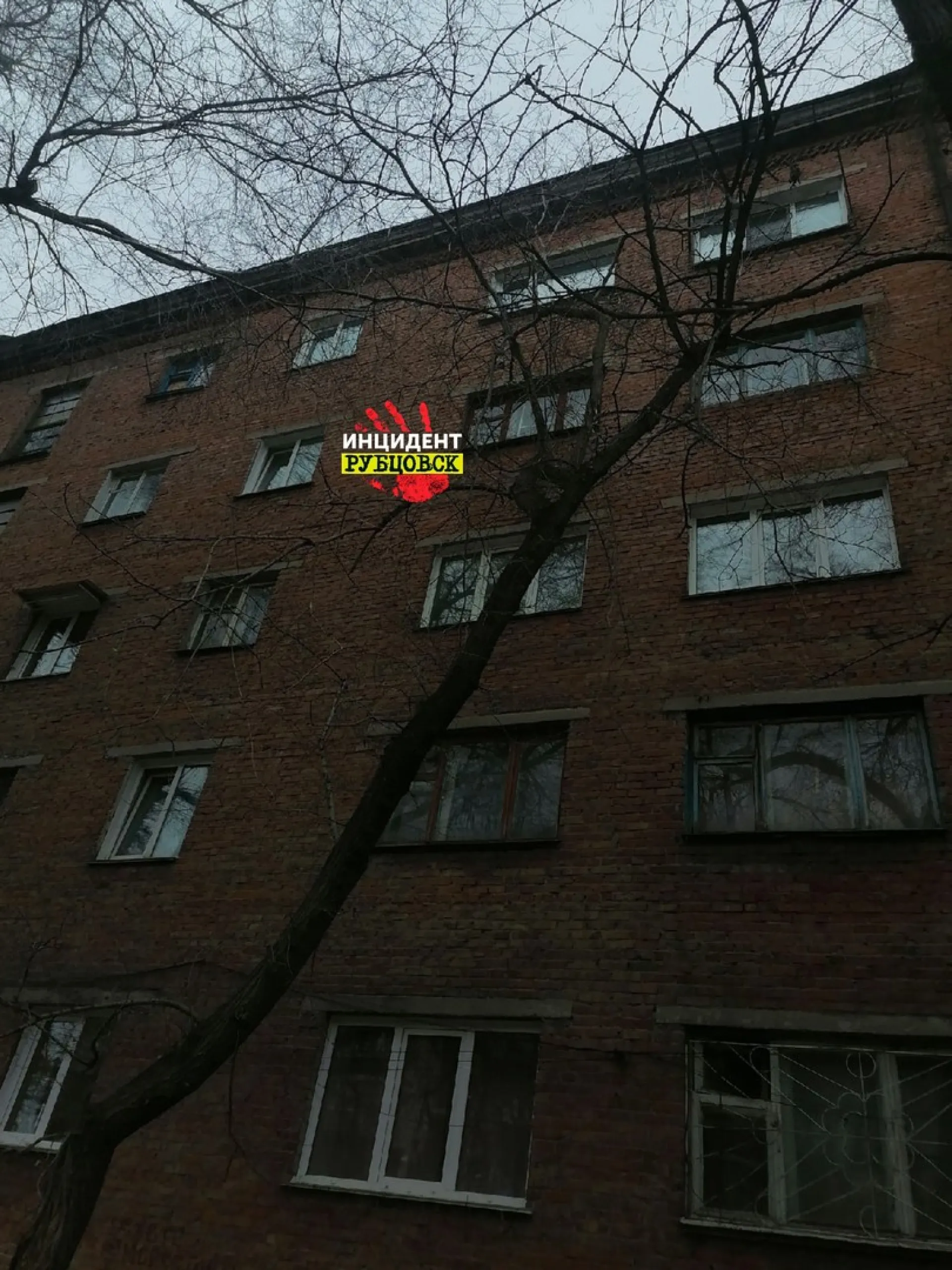 И вот именно поэтому из окна: на жительницу Рубцовска чуть не сбросили телевизор И вот именно поэтому из окна: на жительницу Рубцовска чуть не сбросили телевизор