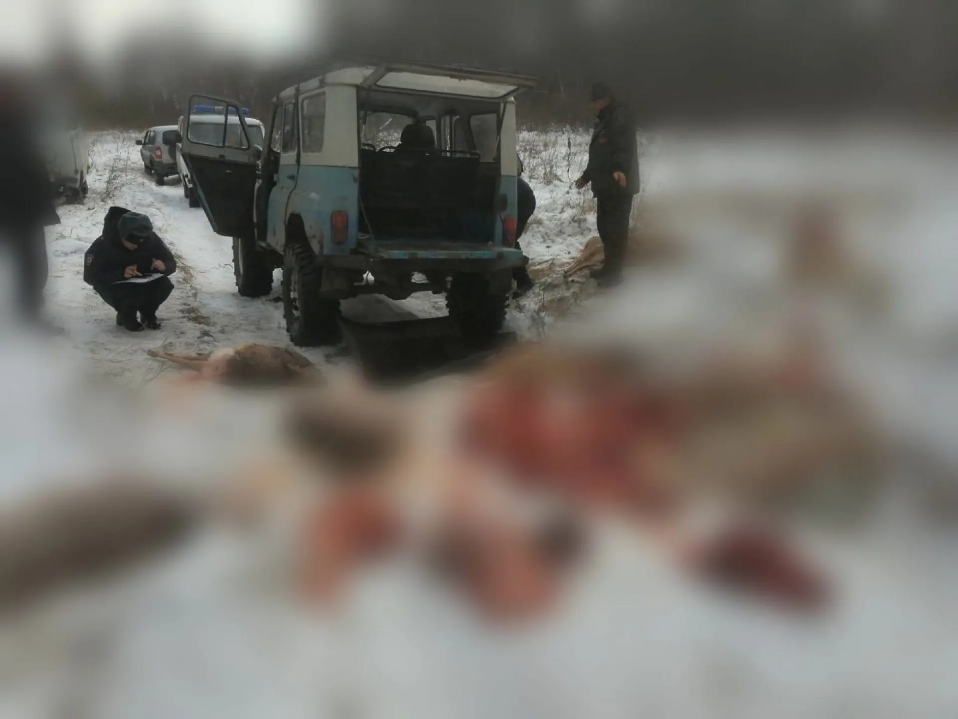 Почти 2 миллиона рублей заплатят браконьеры за охоту в Первомайском районе Почти 2 миллиона рублей заплатят браконьеры за охоту в Первомайском районе