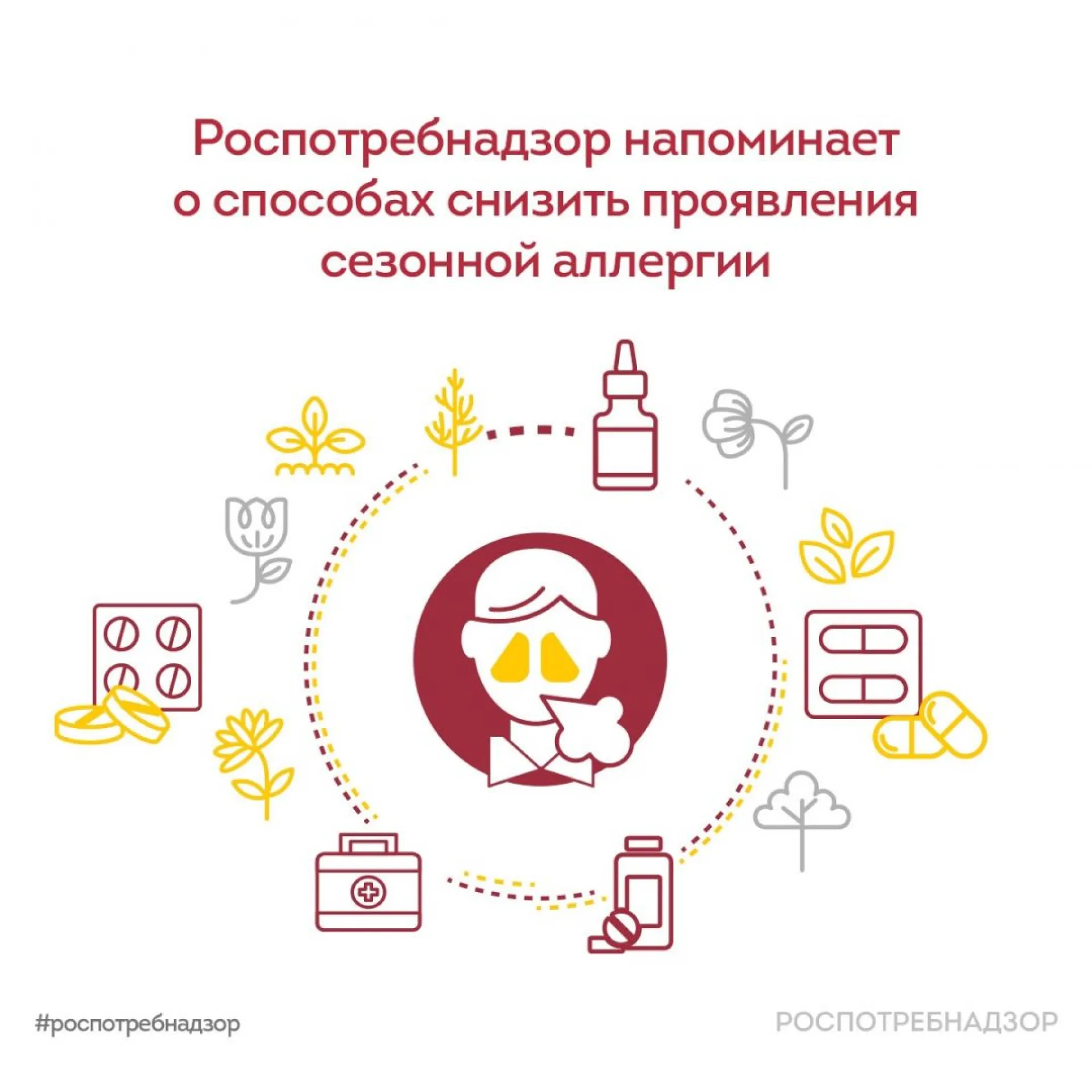 В Роспотребнадзоре рассказали о способах снижения сезонной аллергии В Роспотребнадзоре рассказали о способах снижения сезонной аллергии