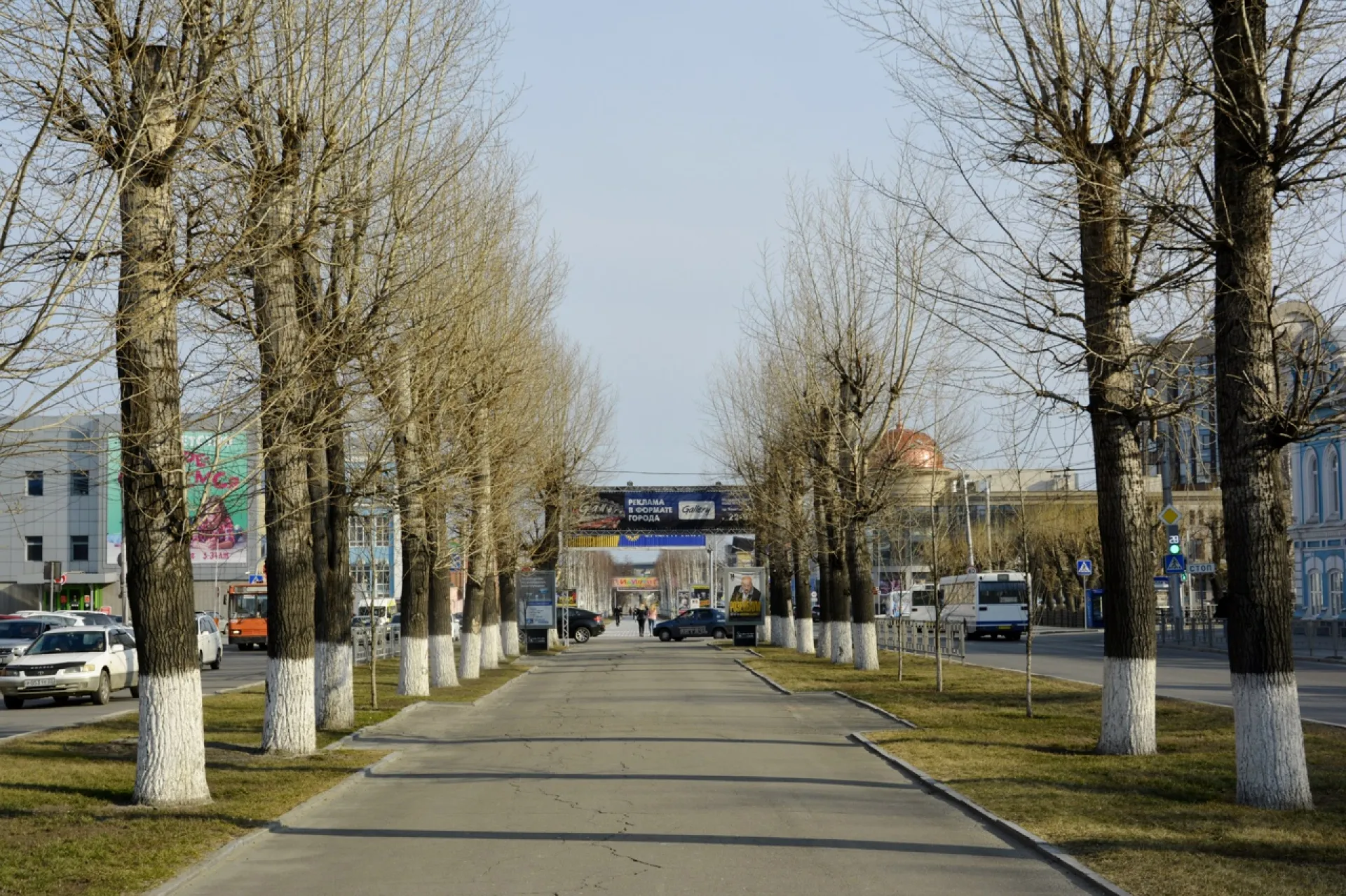 Более 860 деревьев и кустарников высадят в 2022 году в Барнауле