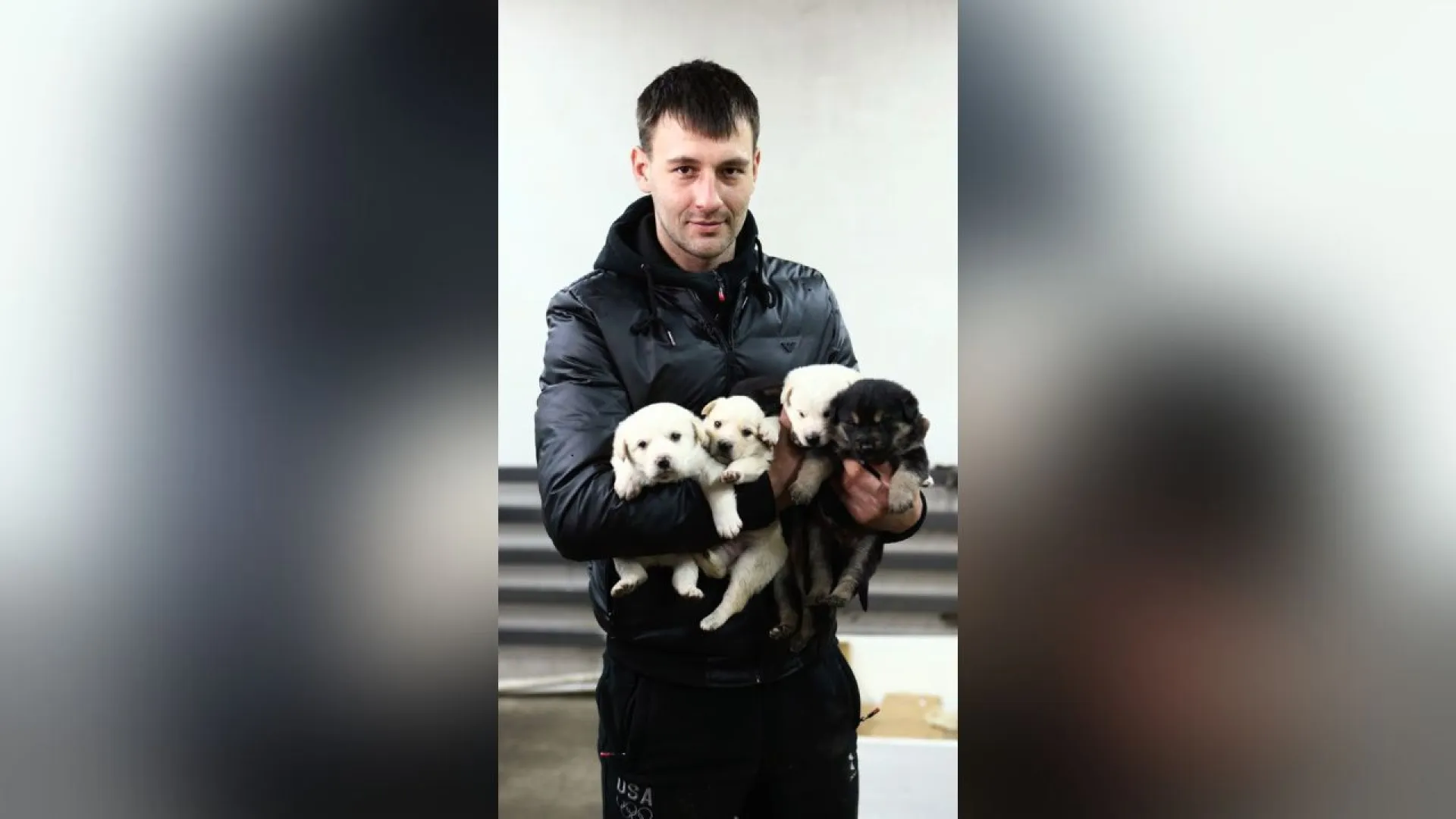 Сибиряк спас щенков от смерти Сибиряк спас щенков от смерти