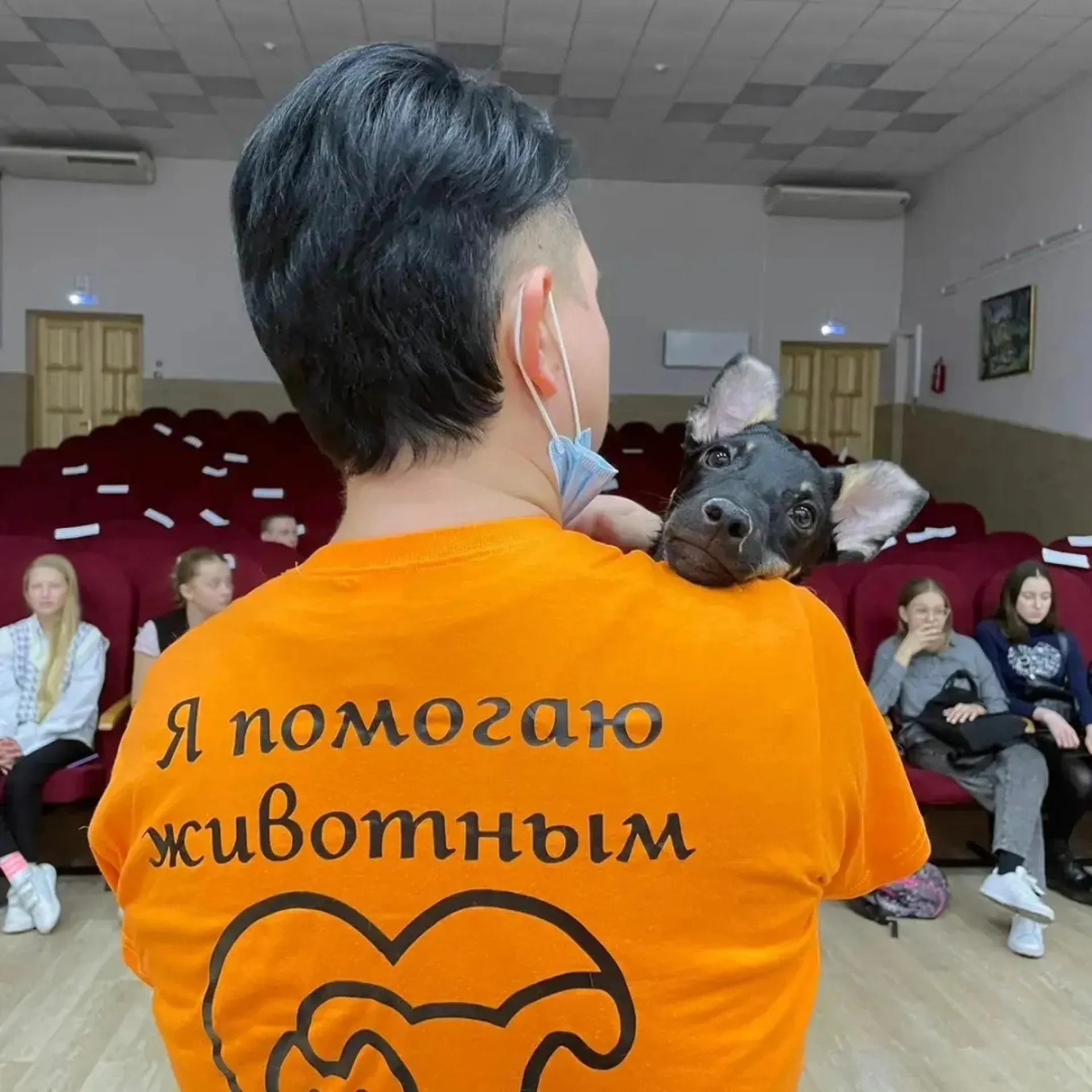 Прокуратура назначила проверку после жалобы зоозащитницы из Бийска на избиения Прокуратура назначила проверку после жалобы зоозащитницы из Бийска на избиения