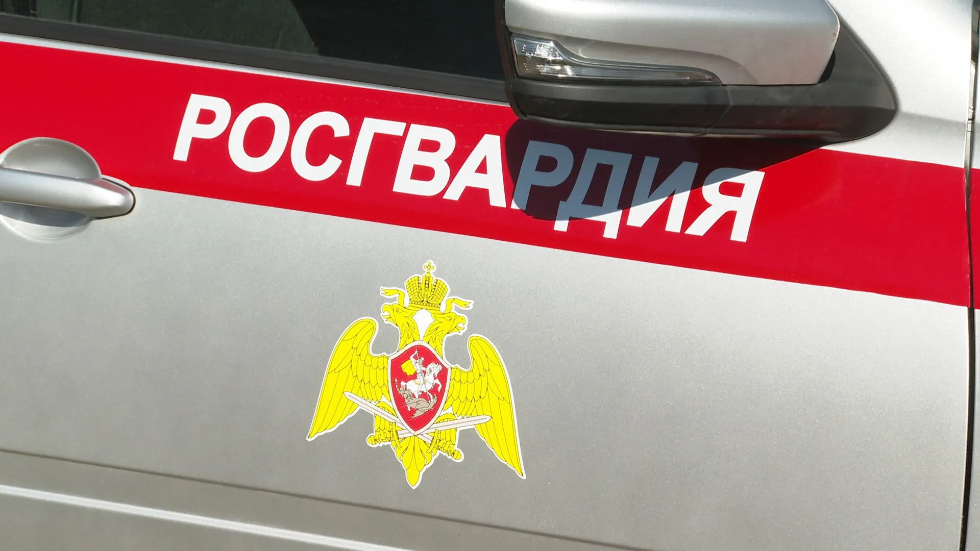Росгвардия задержала участника дорожного конфликта с применением насилия в Барнауле Росгвардия задержала участника дорожного конфликта с применением насилия в Барнауле