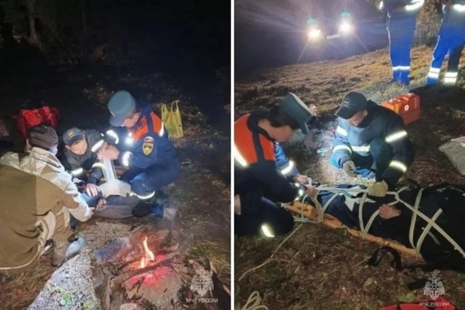 Мужчина получил травмы во время сбора орехов на Алтае
