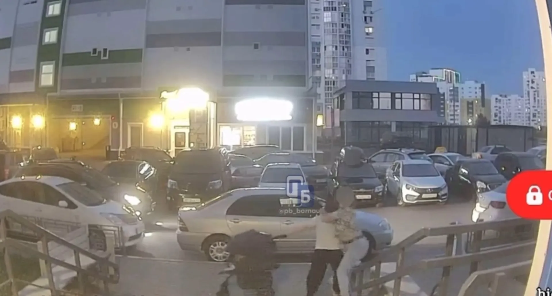 Прокуратура проводит проверку по факту нападения на женщину с младенцем в Барнауле