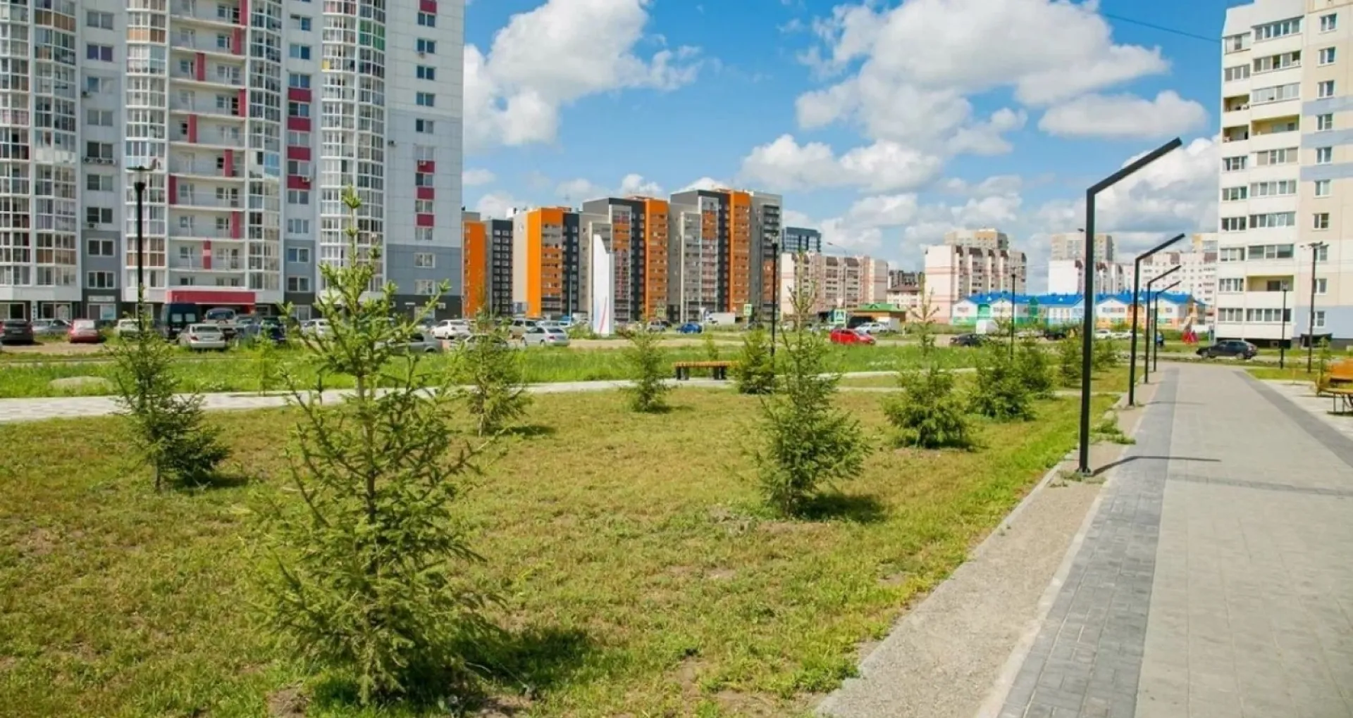 Новые деревья украсили сквер «Взлетный» в Барнауле Новые деревья украсили сквер «Взлетный» в Барнауле