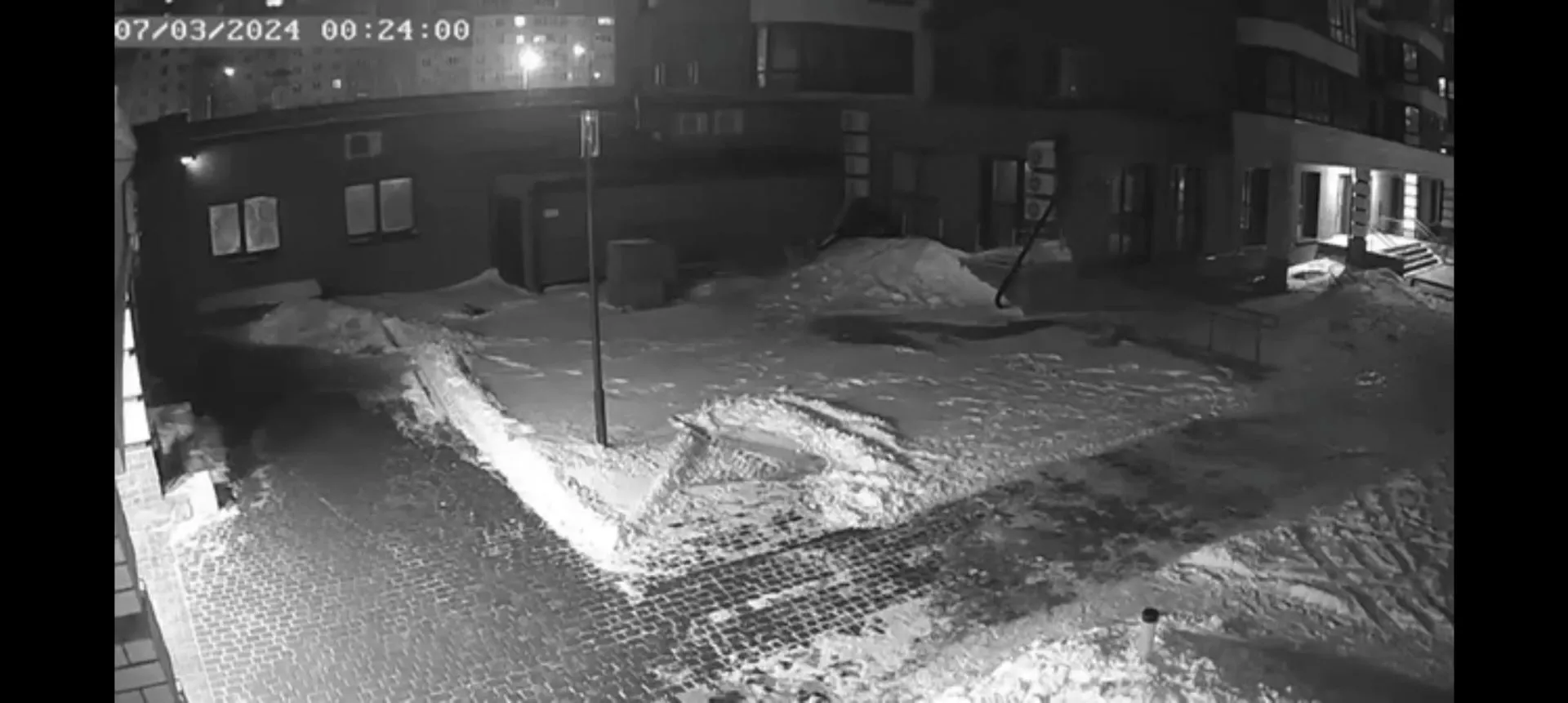 Видео 18+: В Барнауле выкинули кота с 7 этажа