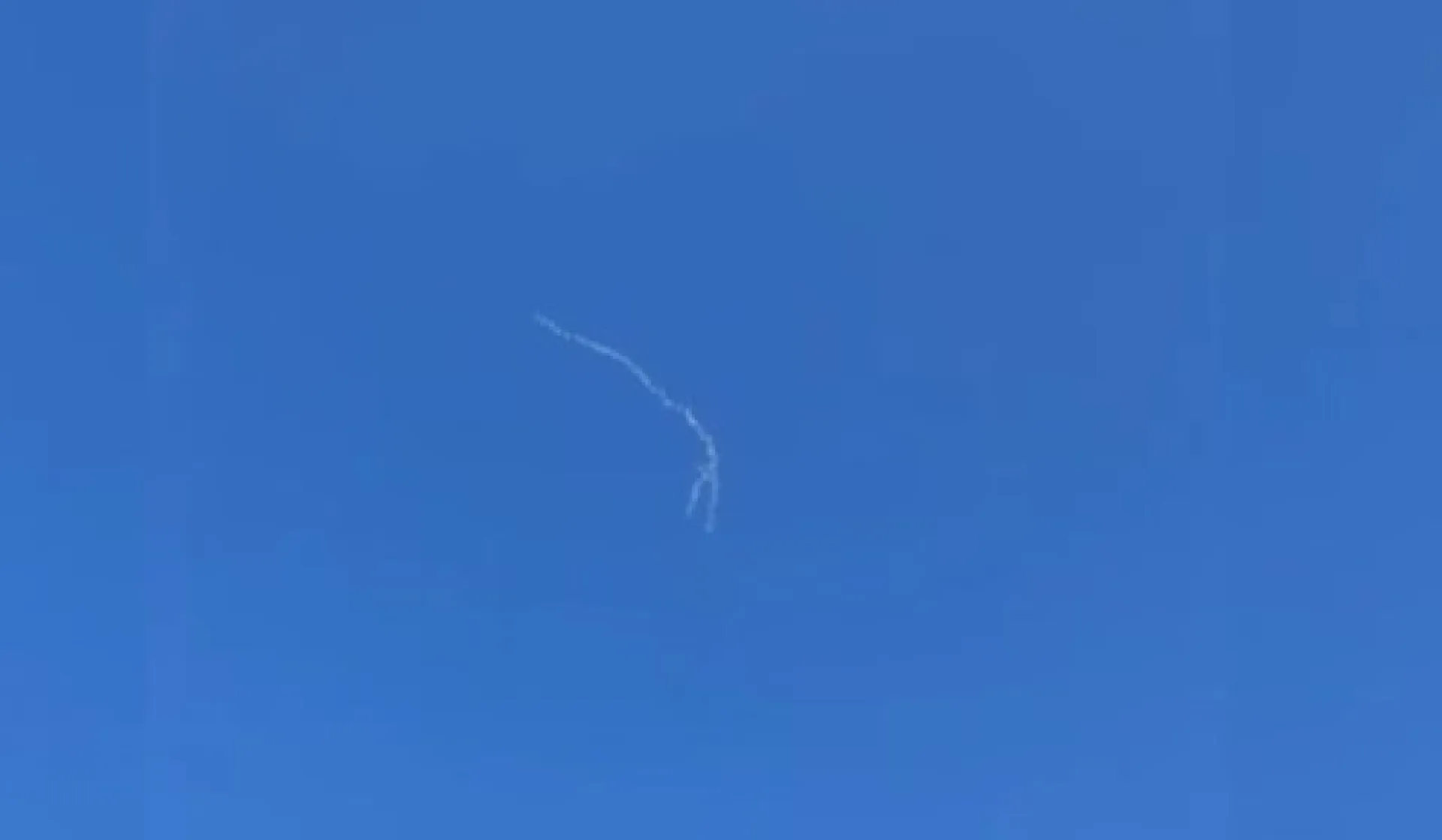 В небе над Алтайским краем снова заметили лебедей