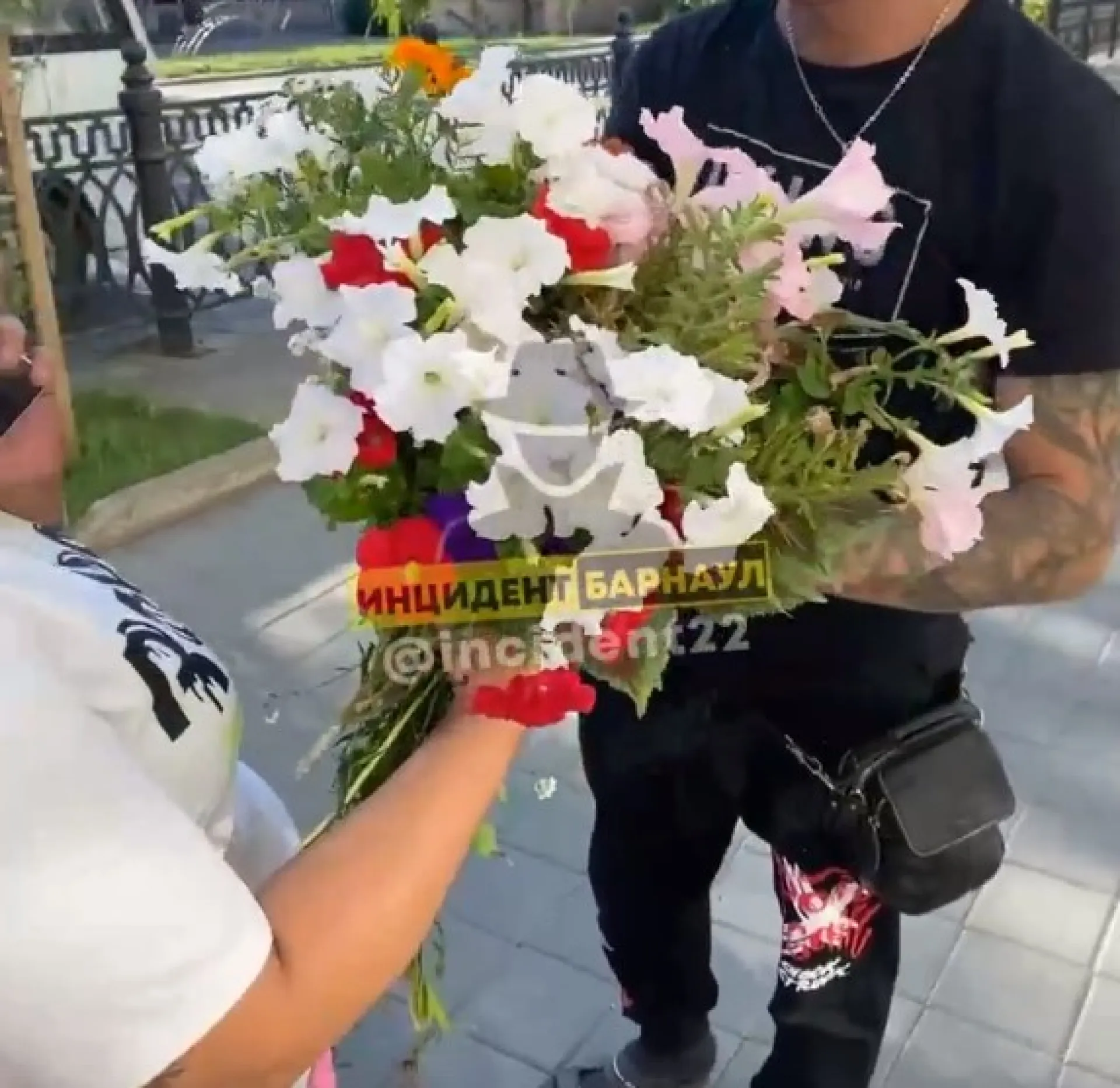 «В подарок супруге»: горожане вырвали цветы из клумб Барнаула
