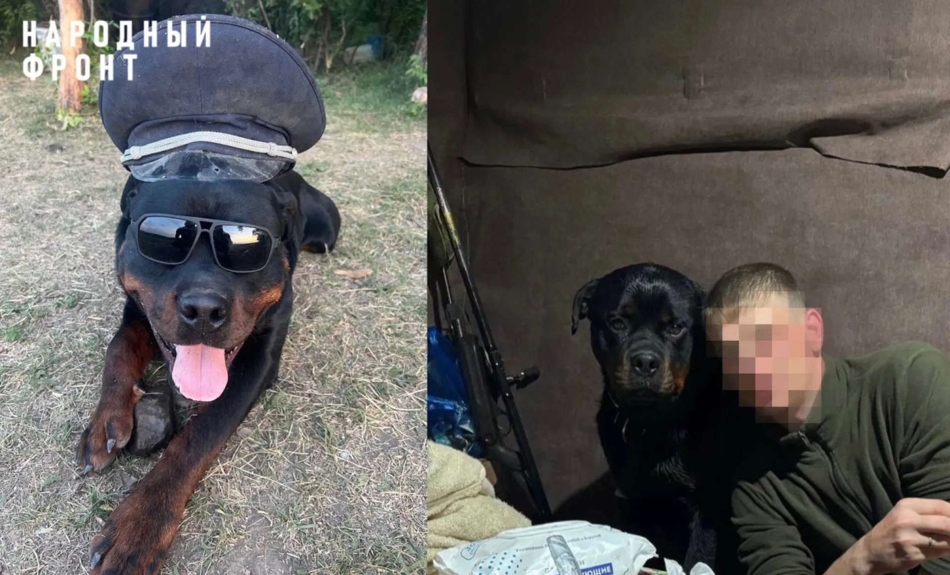 Боец из Алтайского края защищает Родину вместе с четвероногим другом Боец из Алтайского края защищает Родину вместе с четвероногим другом