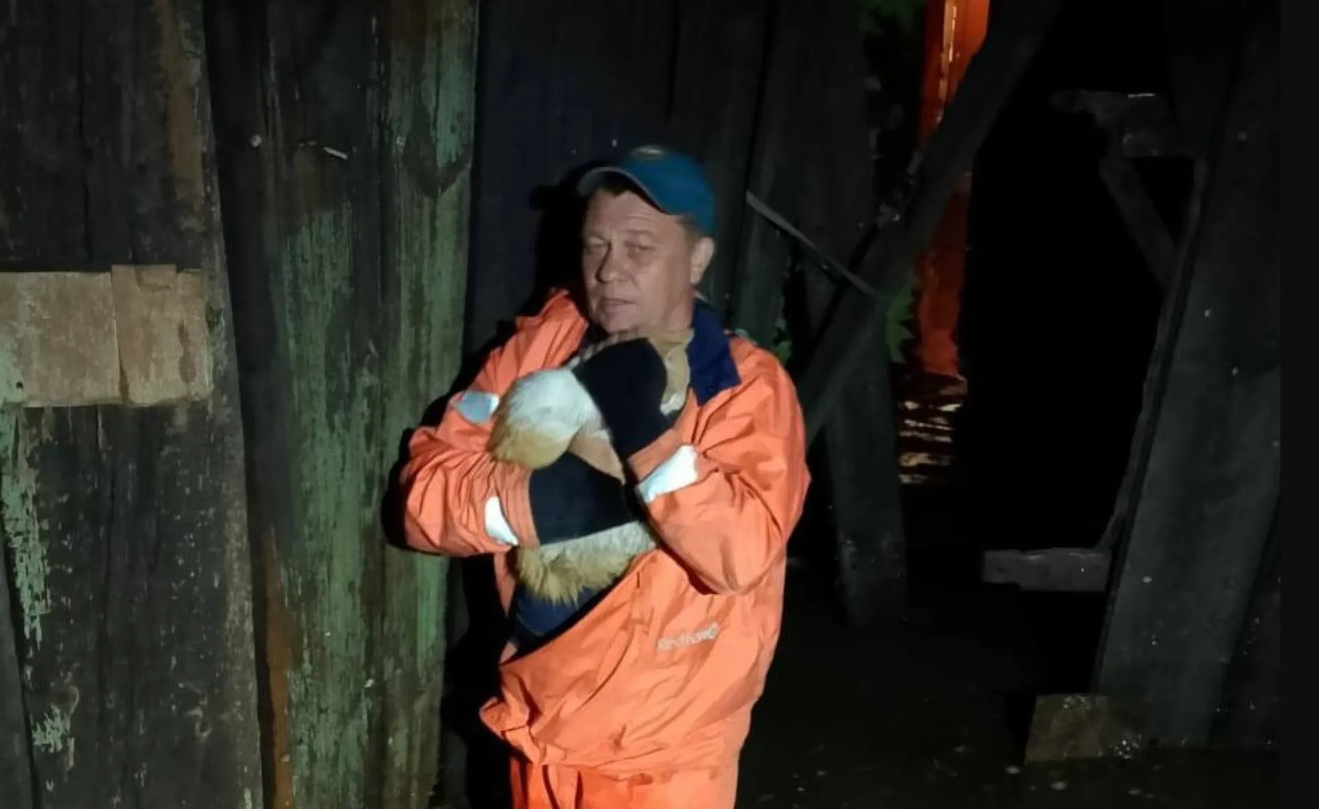 Спасатели эвакуировали домашних животных из подтопленного дома в Барнауле Спасатели эвакуировали домашних животных из подтопленного дома в Барнауле