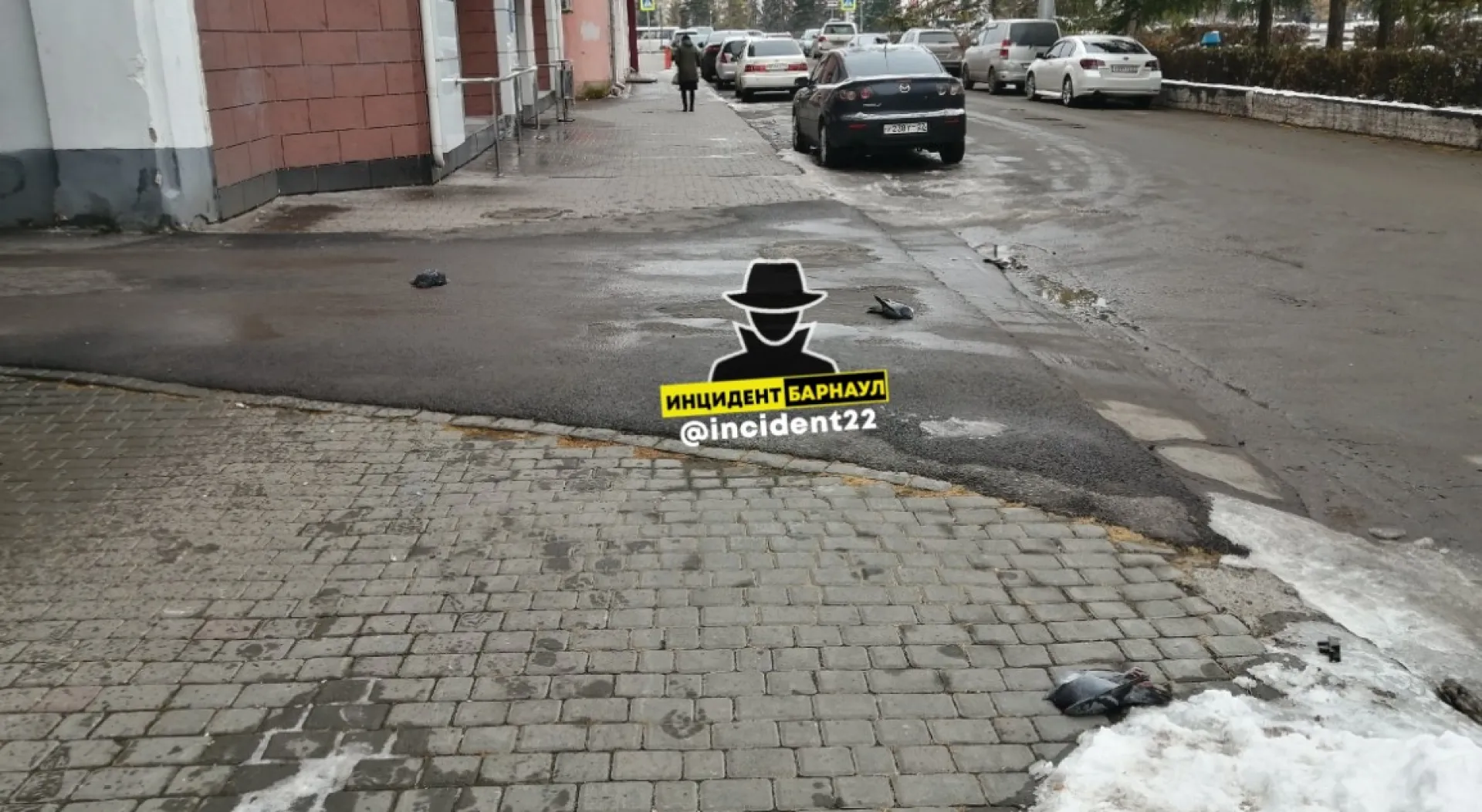 Соцсети: неизвестный расстрелял голубей в центре Барнаула Соцсети: неизвестный расстрелял голубей в центре Барнаула