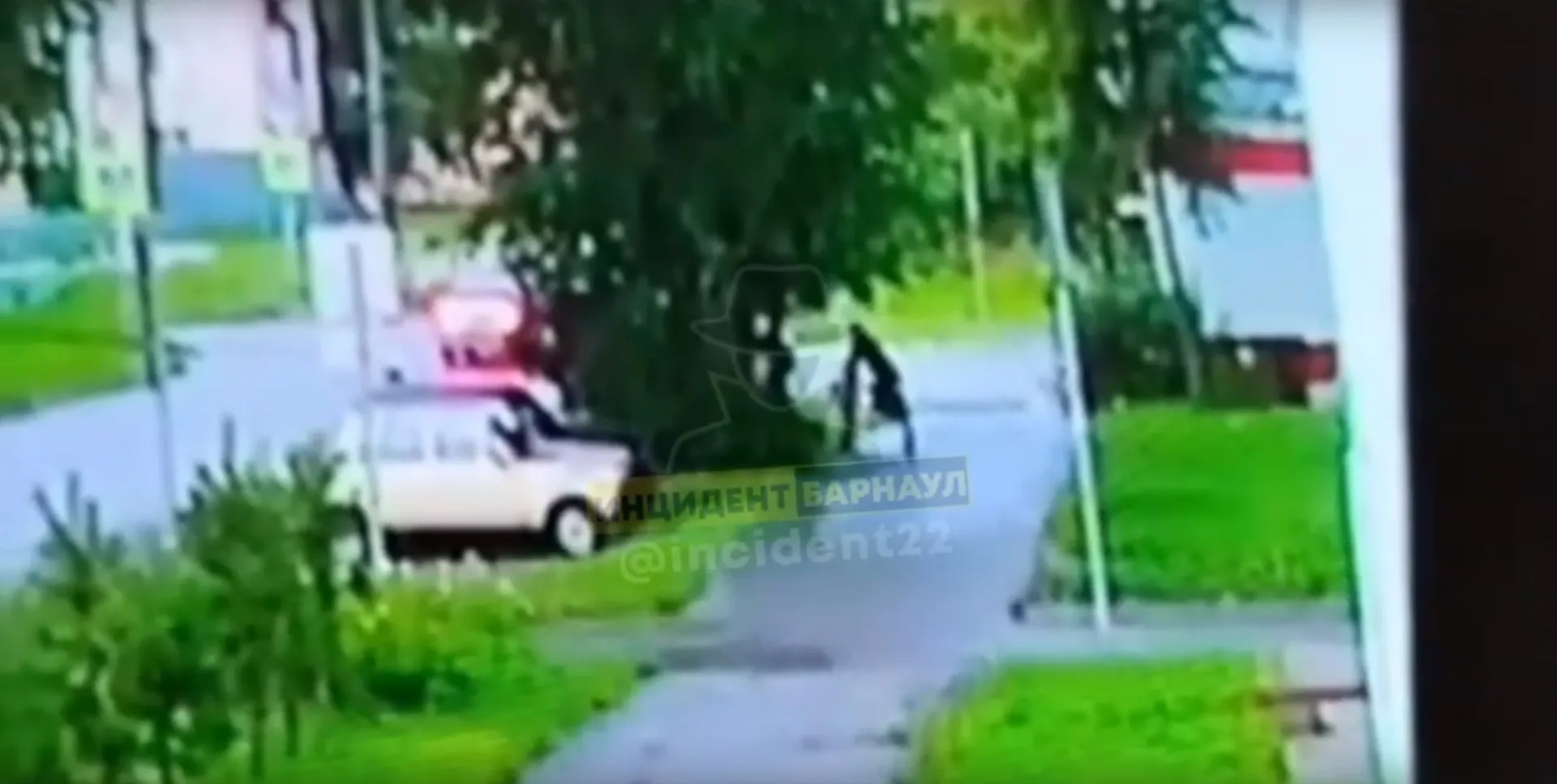 Неизвестный напал на девочку и попытался утащить ее в кусты в Барнауле