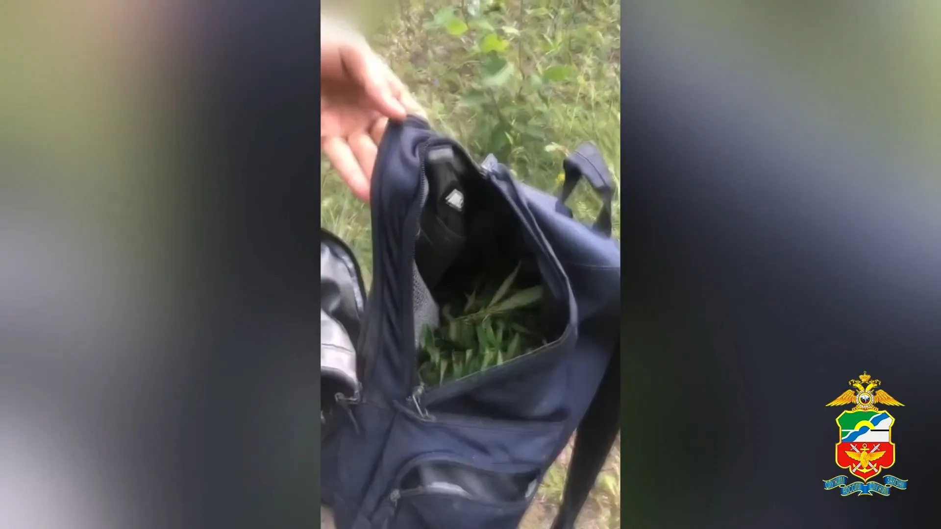 450 граммов марихуаны хранил у себя 29-летний барнаулец 450 граммов марихуаны хранил у себя 29-летний барнаулец