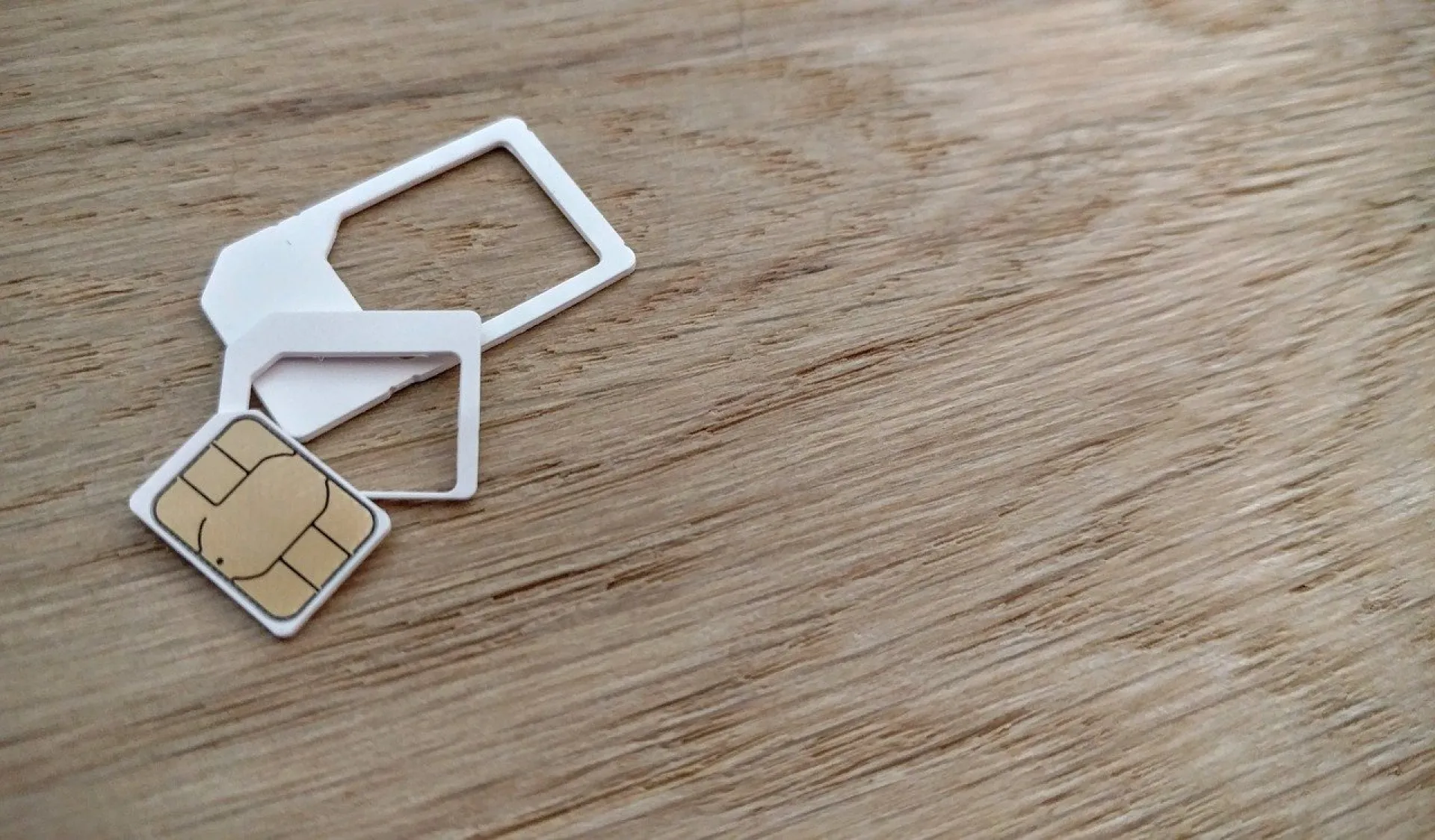 Перепись всех SIM-карт предложили провести в России