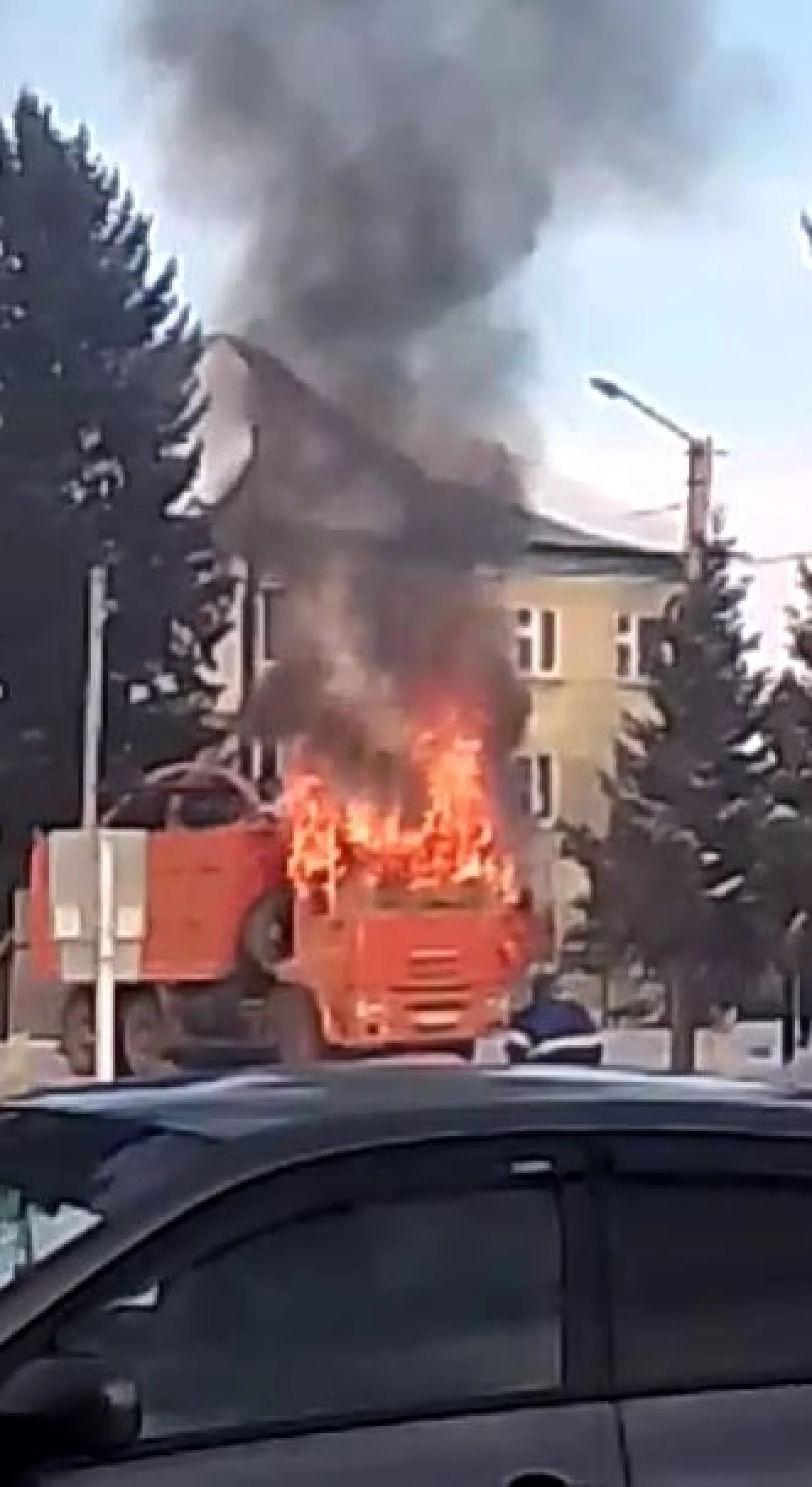 Грузовой автомобиль загорелся в селе Алтайского края
