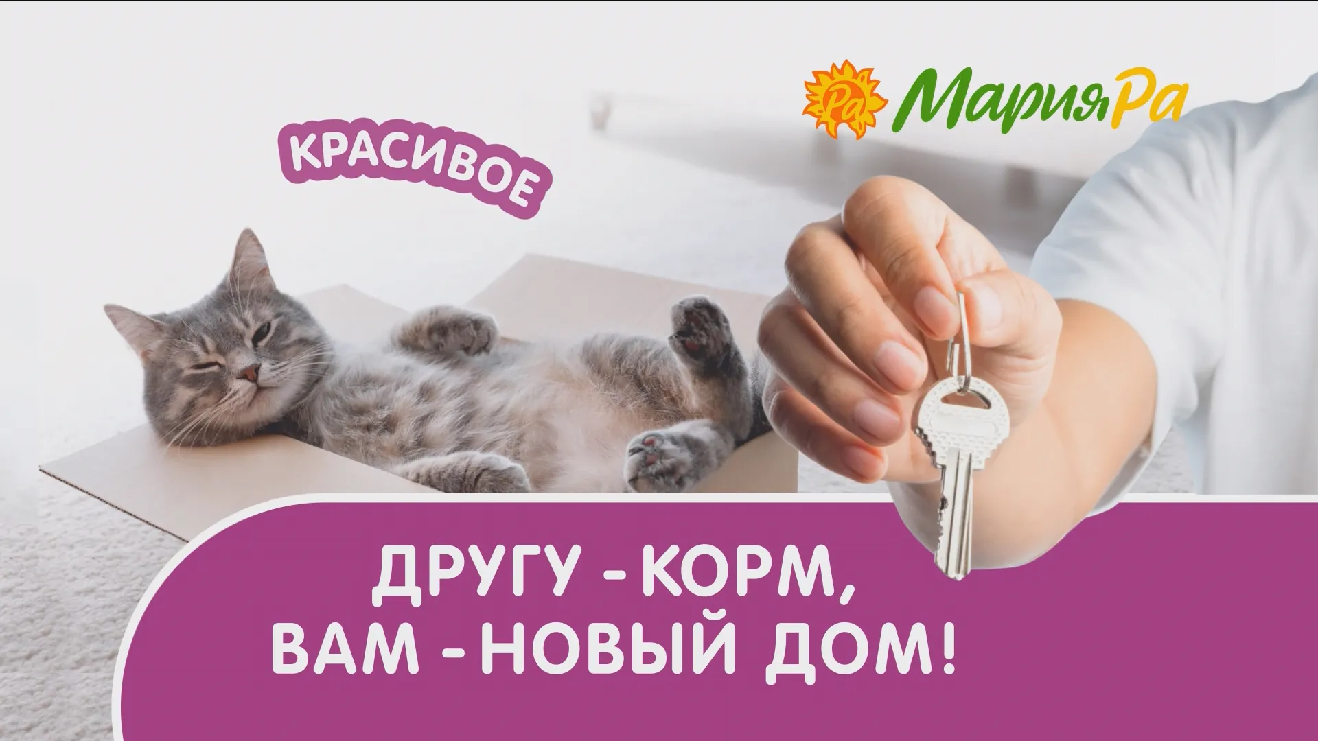 Прямая трансляция розыгрыша призов от компании «Мария-Ра»